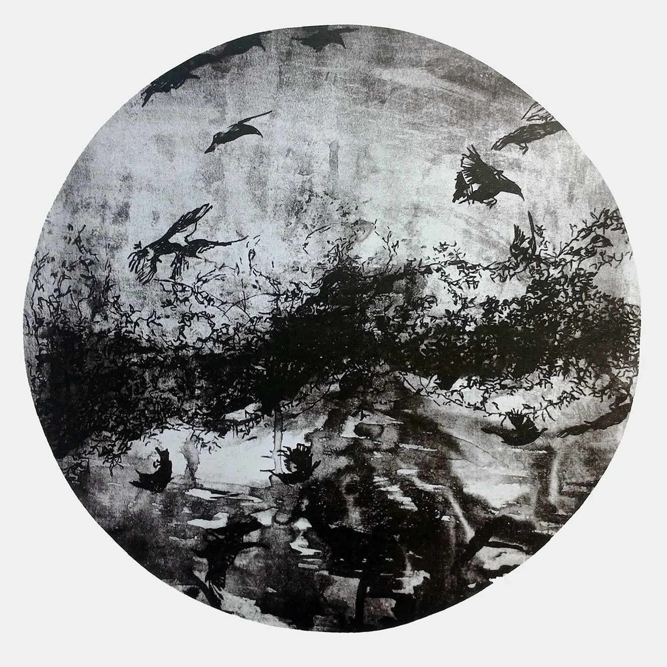 Sarah Abercrombie_Into the Light_ Photolithograph print_30cm diameter print_40cm x 40cm paper_Limited edition of 10 prints_ 7 available, please contact me directly to enquire about this limited edition print.