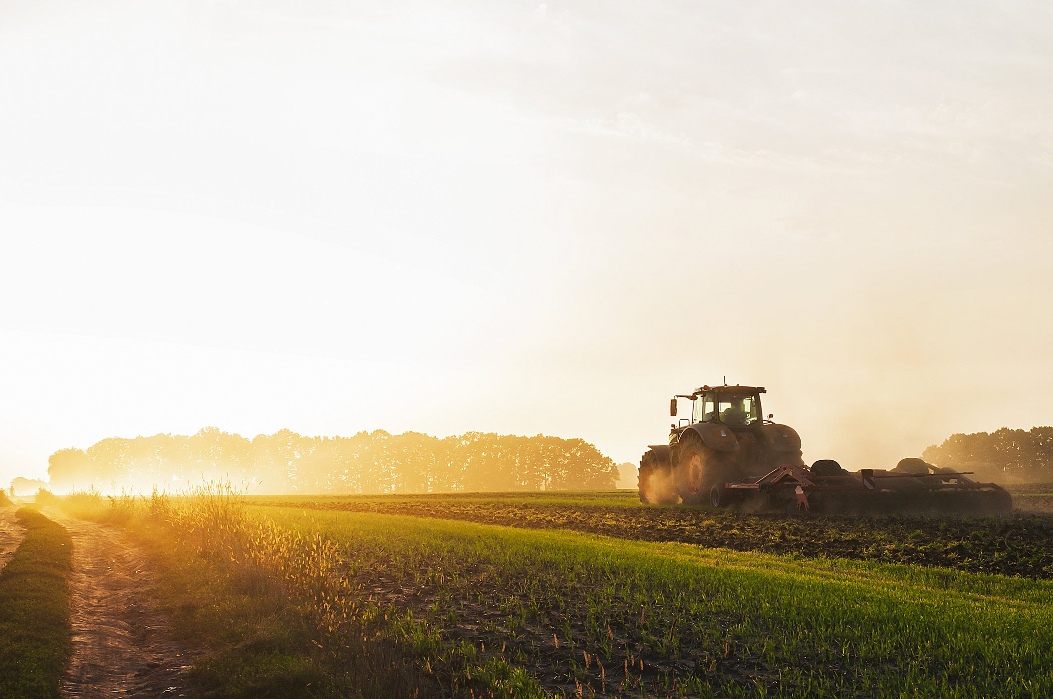 A tractor working on a farm field at sunrise or sunset with a dirt path on the left and trees in the background.