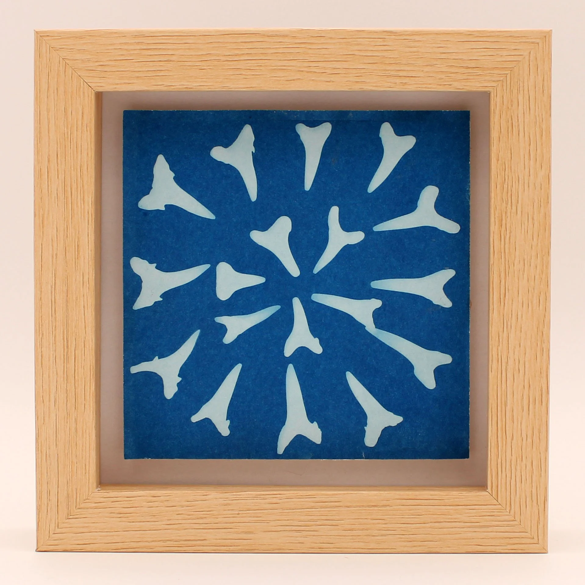 Shark Teeth Cyanotype