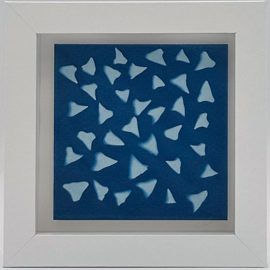 Shark Teeth Cyanotype