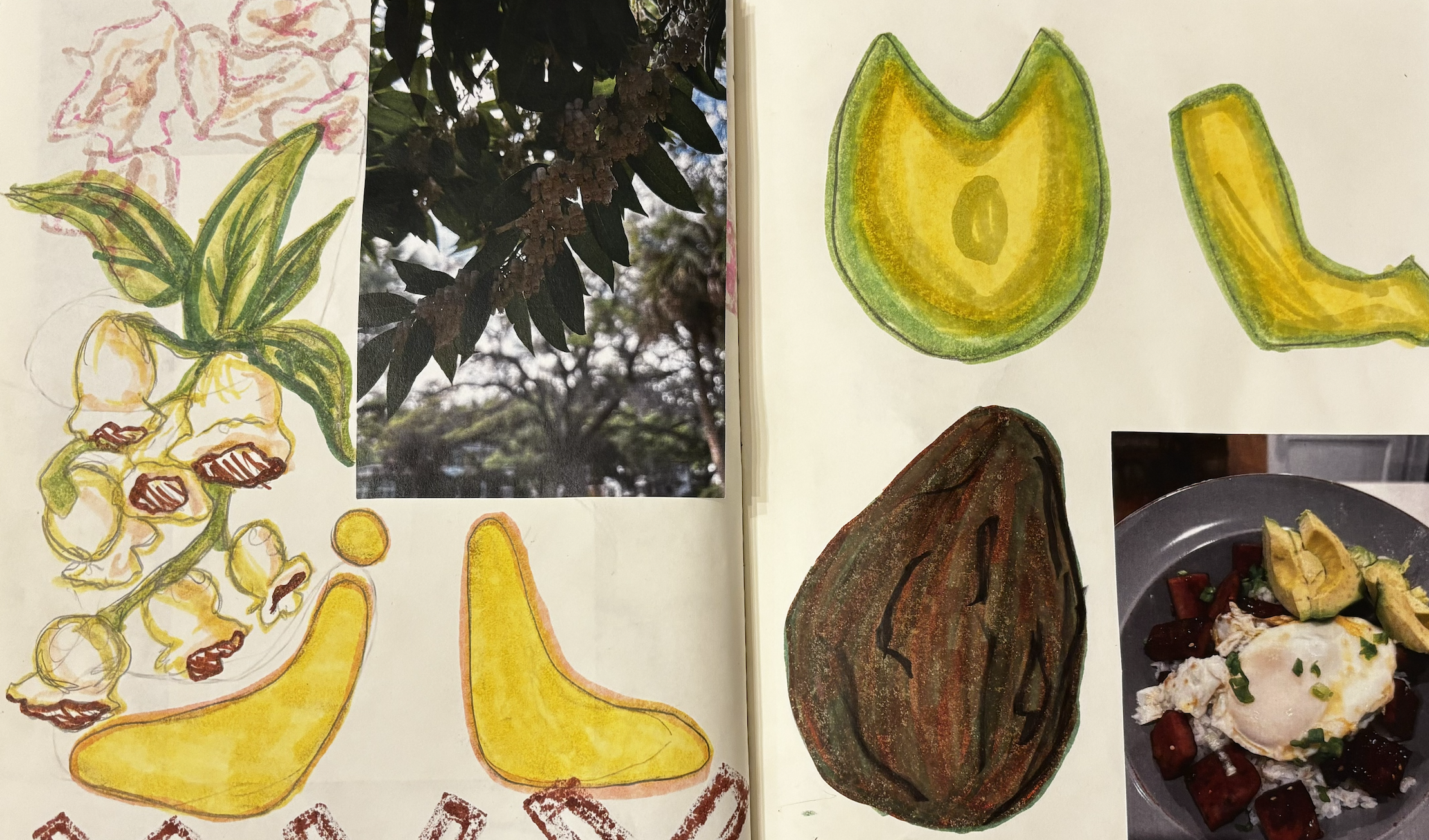 Screenshot 2026-03-02 at 9.23.19 PM.png