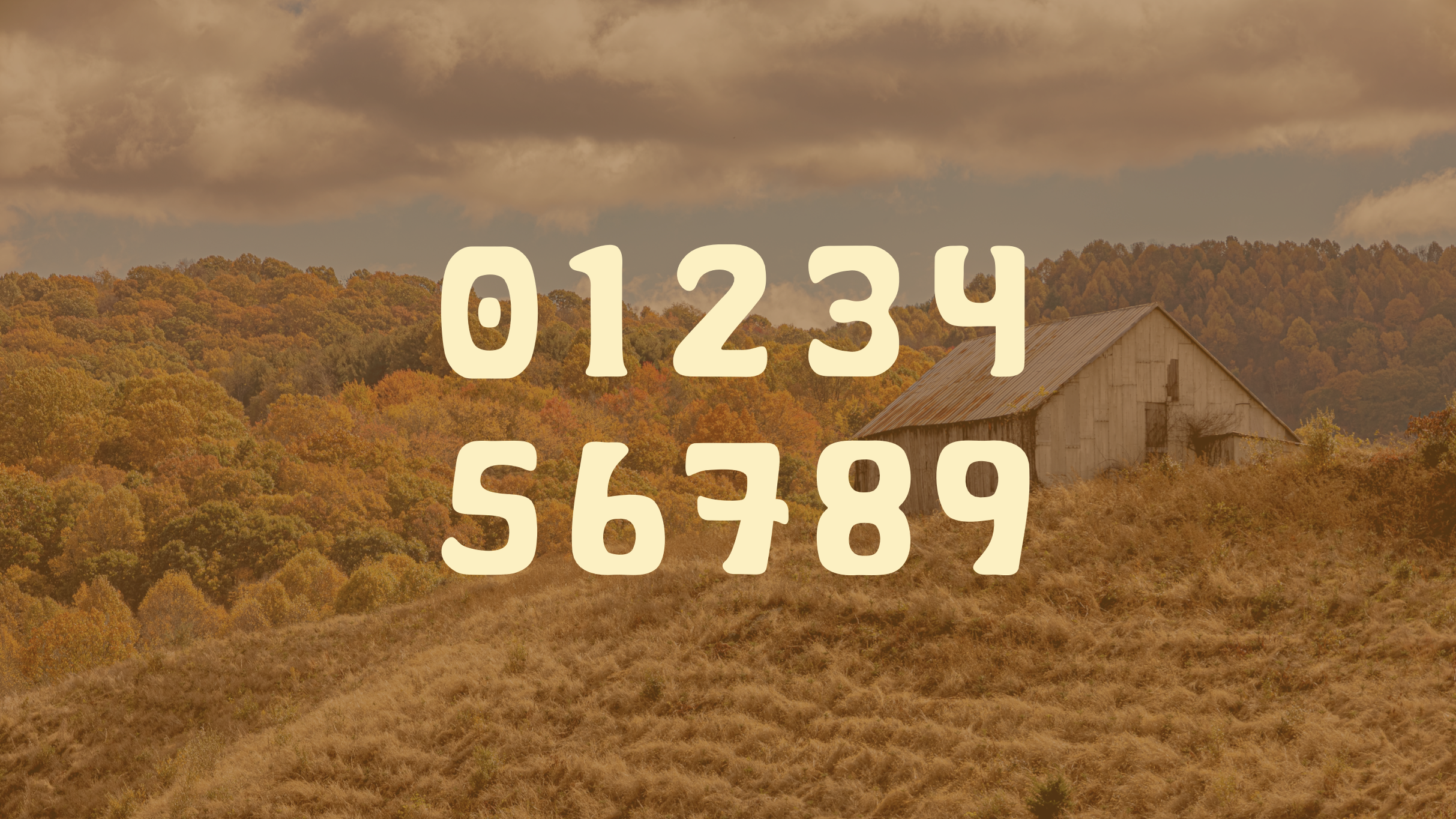 Screenshot 2026-03-12 at 6.17.42 PM.png