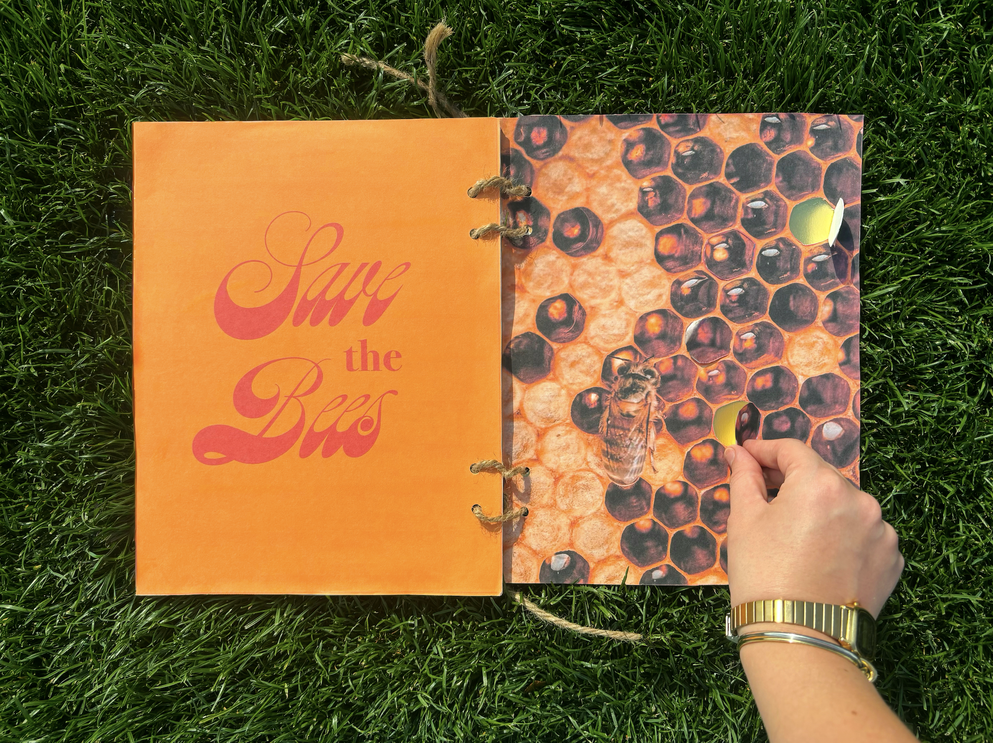 Screenshot 2026-03-04 at 12.42.50 AM.png