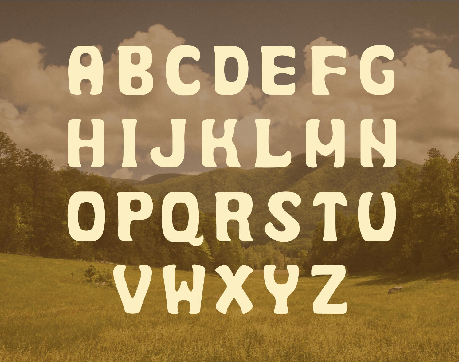 Barrique Typeface