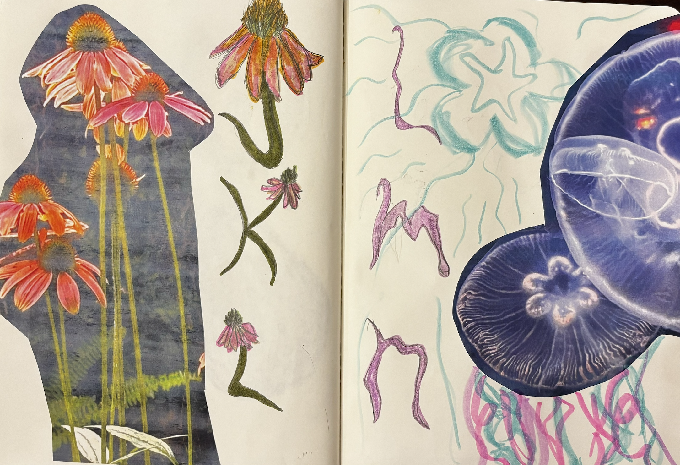 Screenshot 2026-03-02 at 9.22.55 PM.png