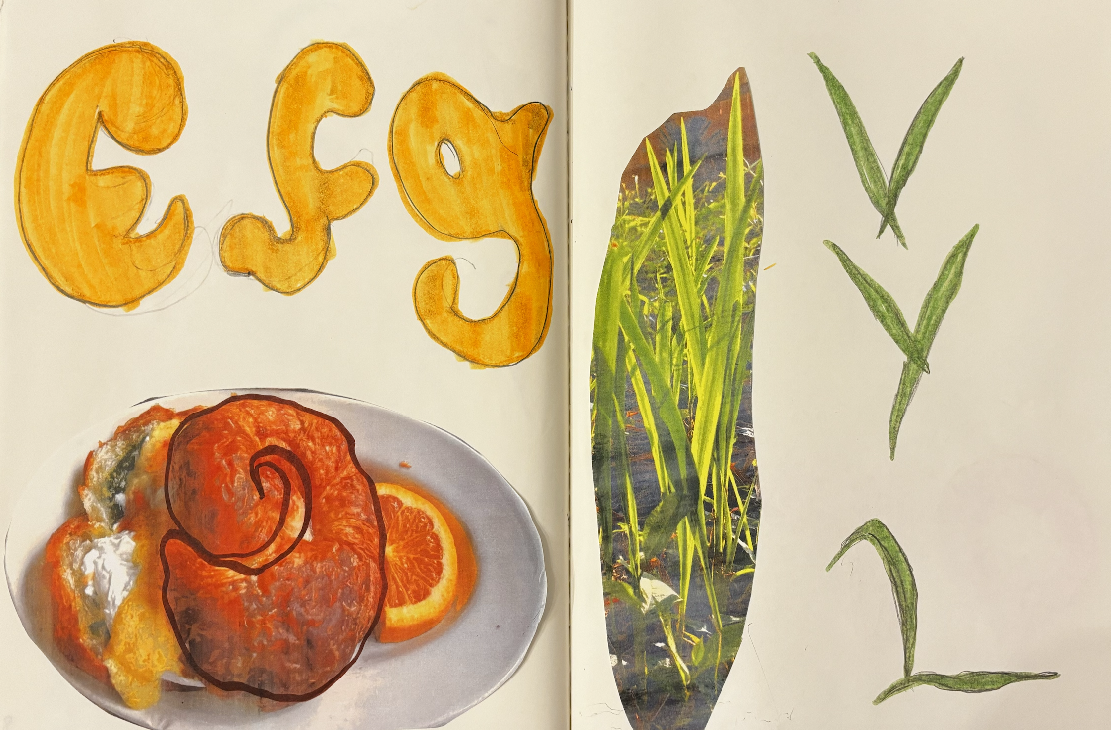 Excerpts from my typography sketchbook (looking for letters in my daily life)