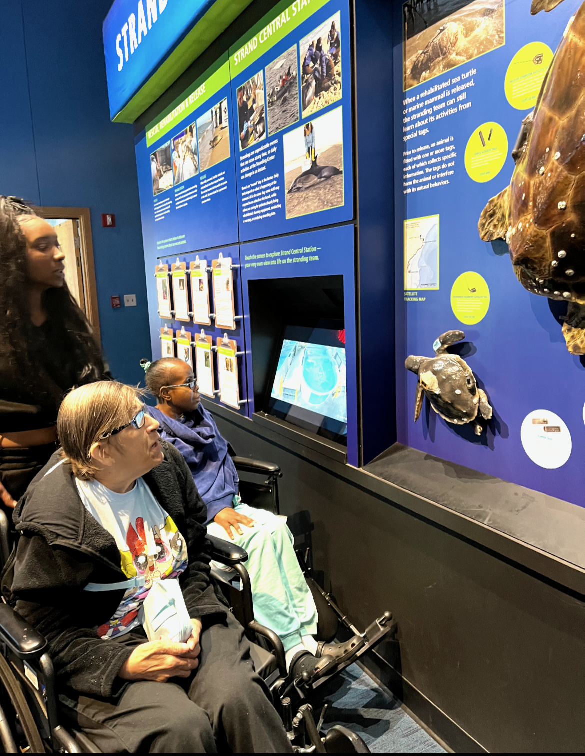 Three people, including two women in wheelchairs, are indoors at an educational exhibit about sea turtles. They are watching a display screen and informational posters about the Sea Turtle Center, with some photos, maps, and facts about sea turtles o