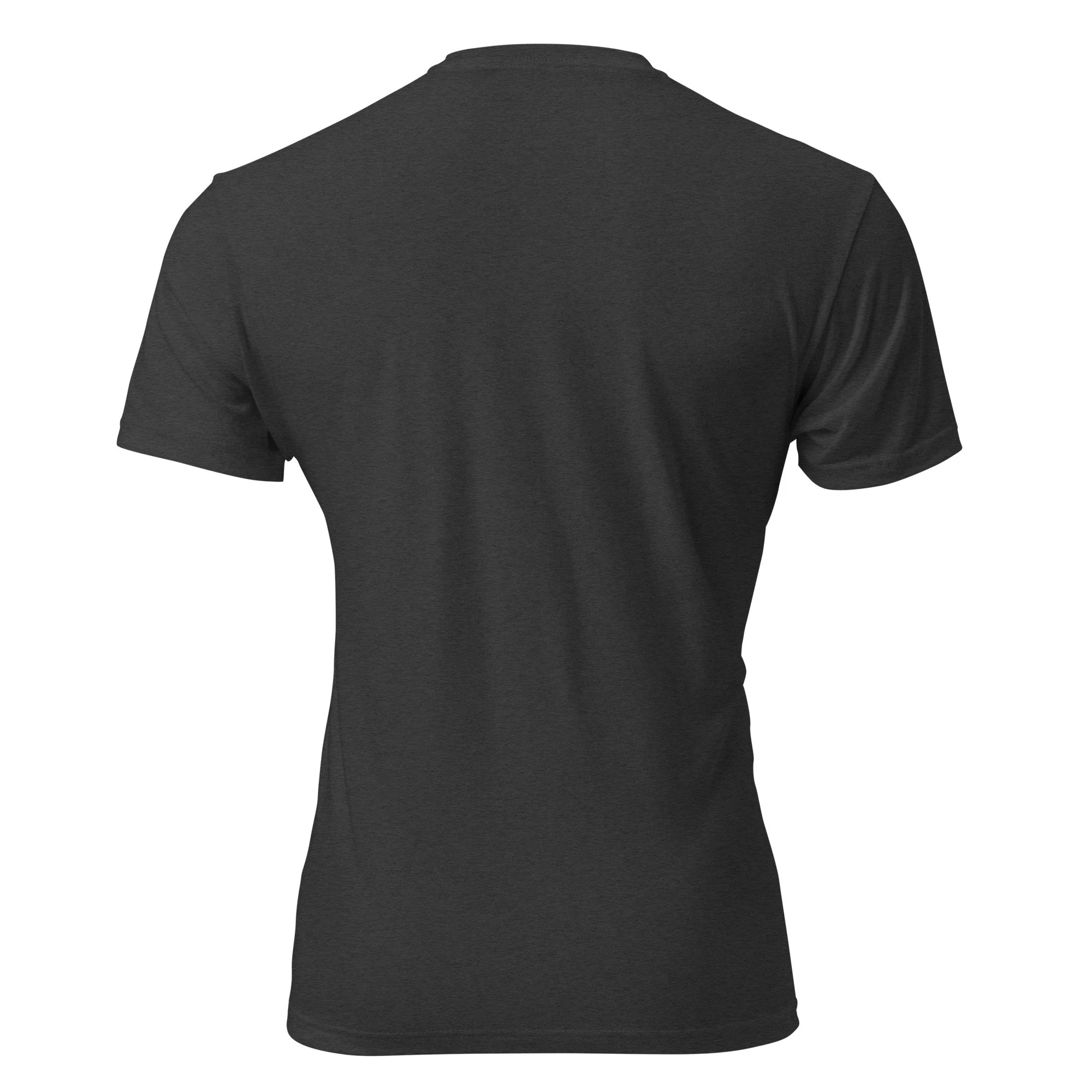 unisex-cvc-t-shirt-charcoal-back-6a0f14430bc6b.jpg