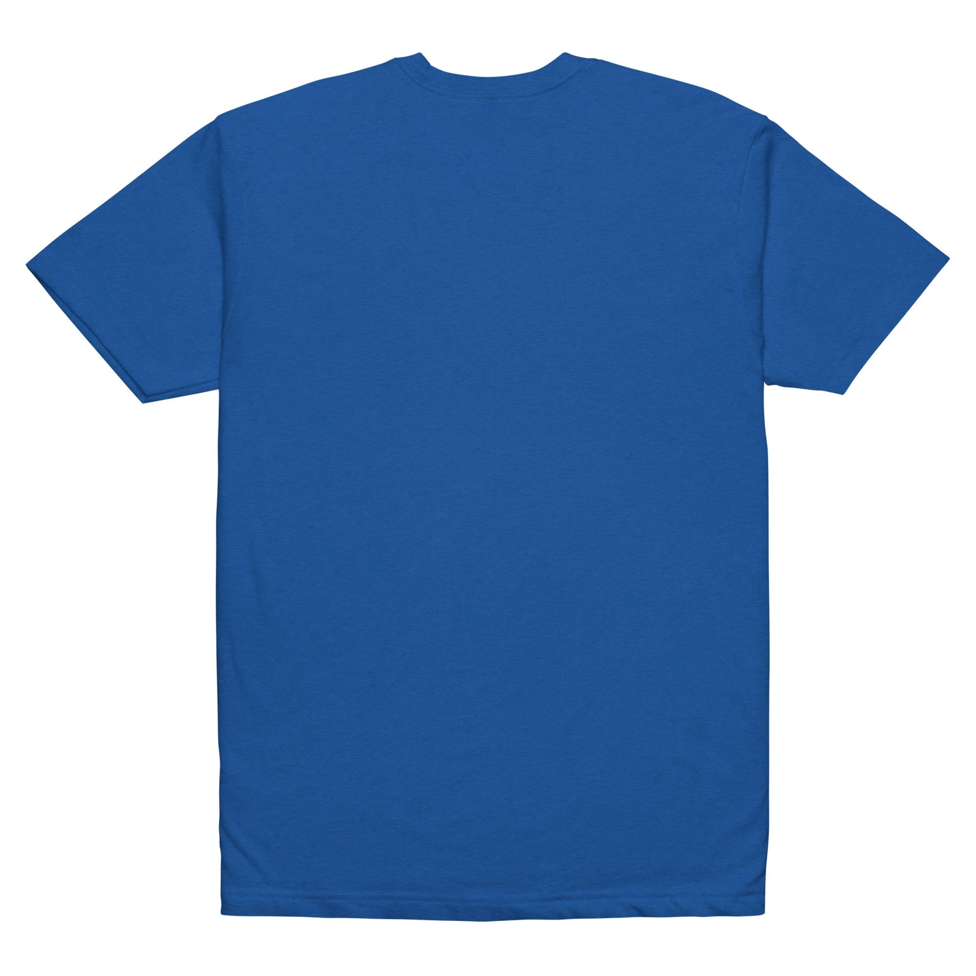 unisex-cvc-t-shirt-royal-back-6a0f144303dc4.jpg