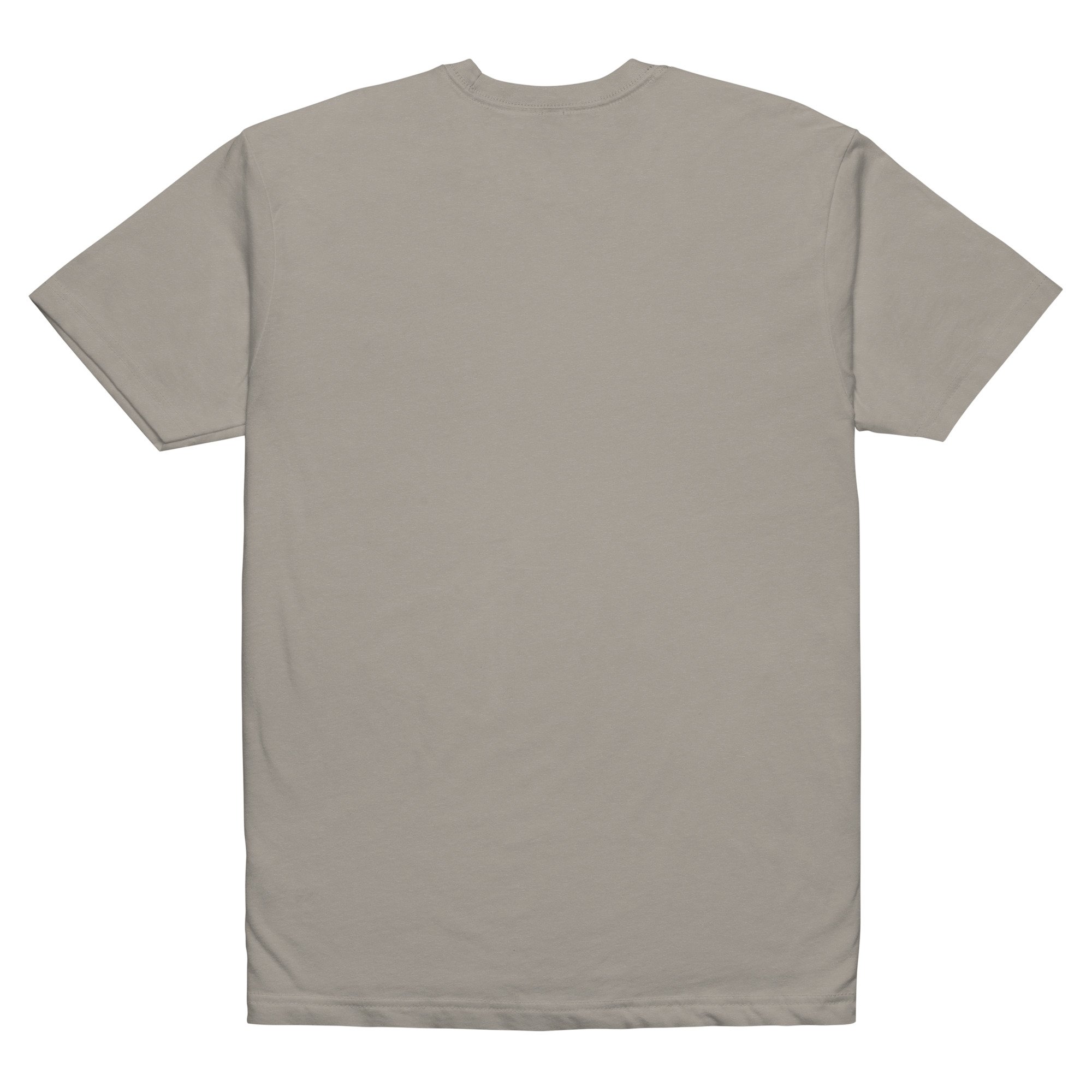 unisex-cvc-t-shirt-stone-grey-back-6a0f144303f5d.jpg