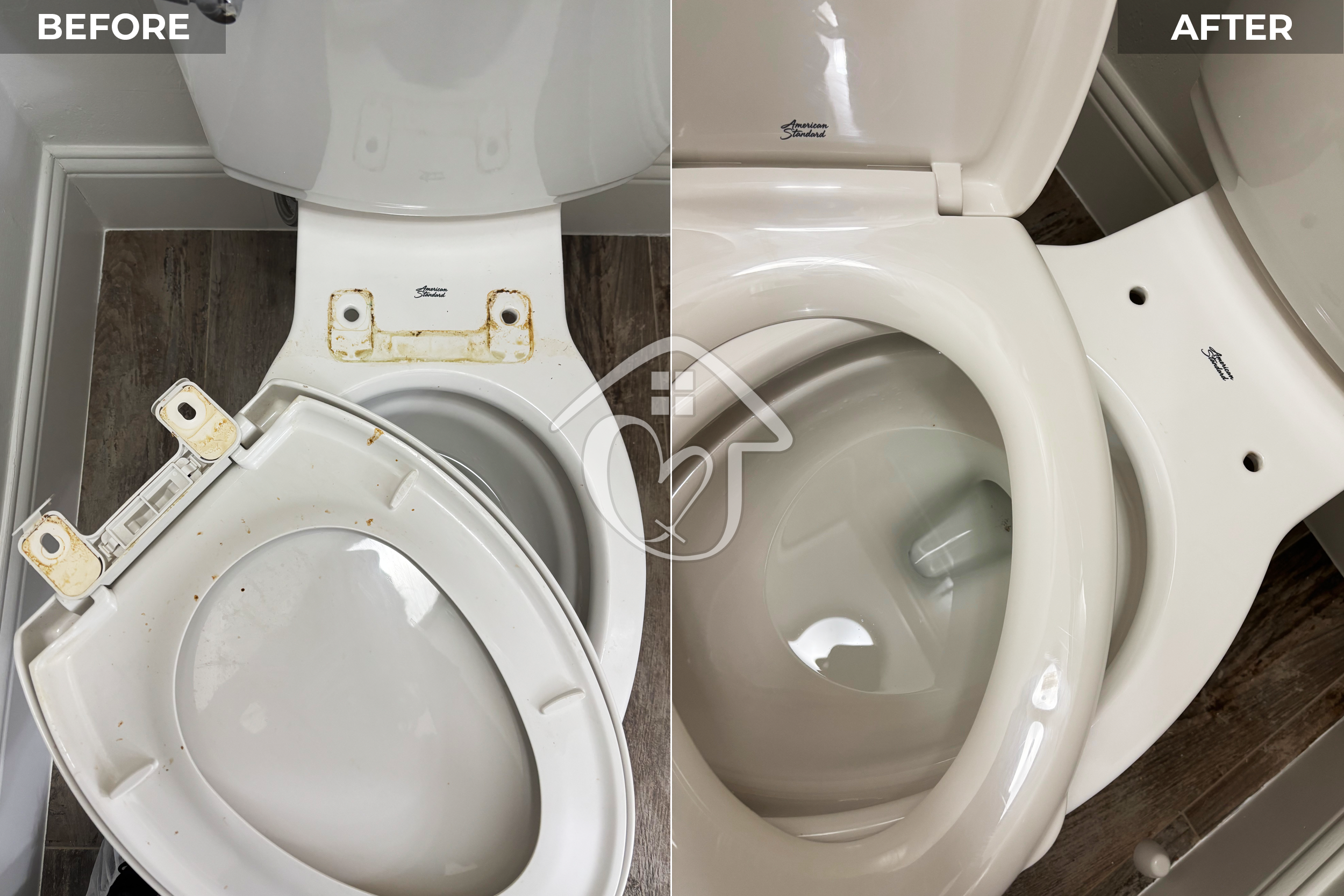 Have you ever checked under your toilet seat?