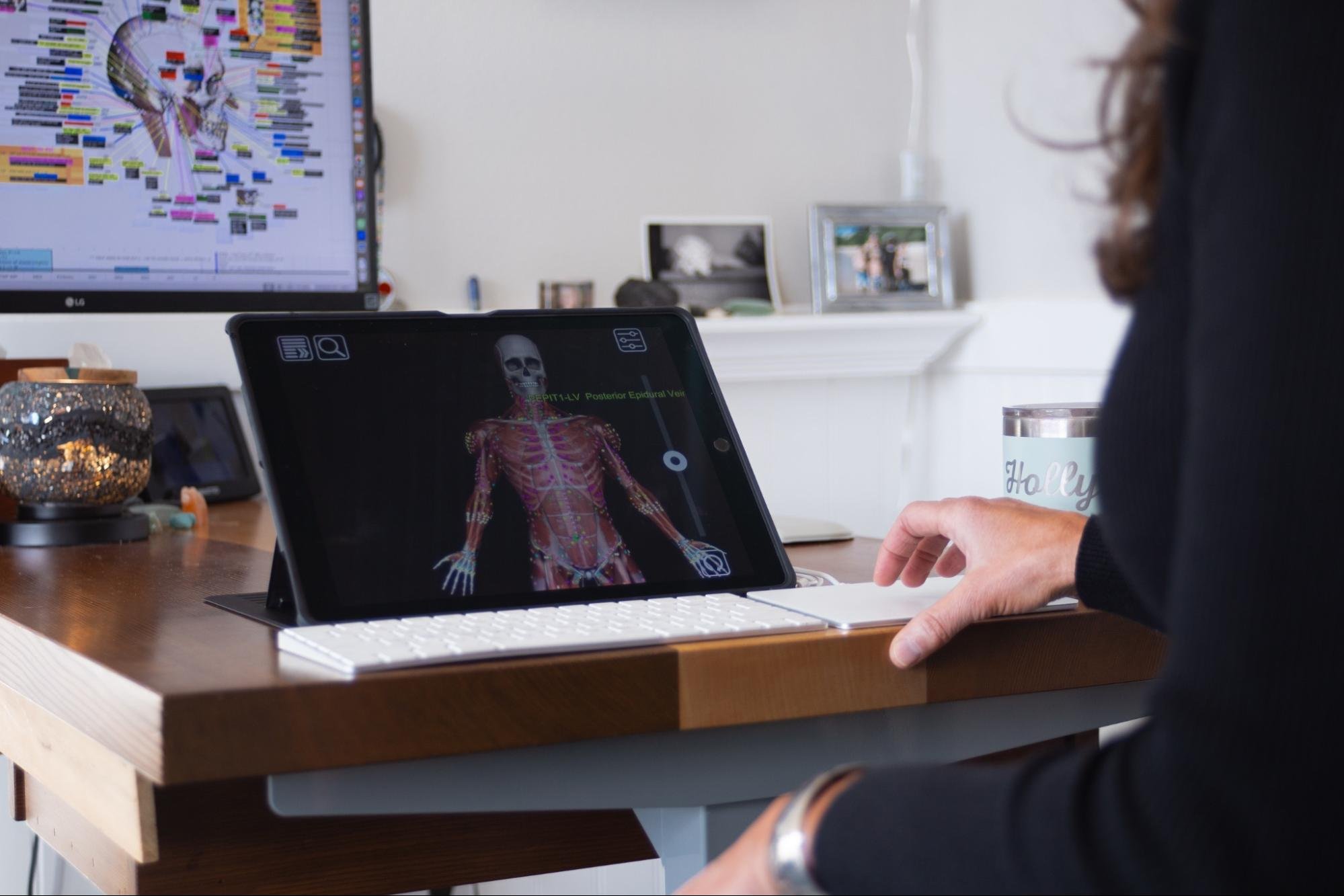A person working at a desk with a tablet displaying a 3D anatomy model, a monitor in the background showing a colorful diagram, and framed photographs on a white shelf.