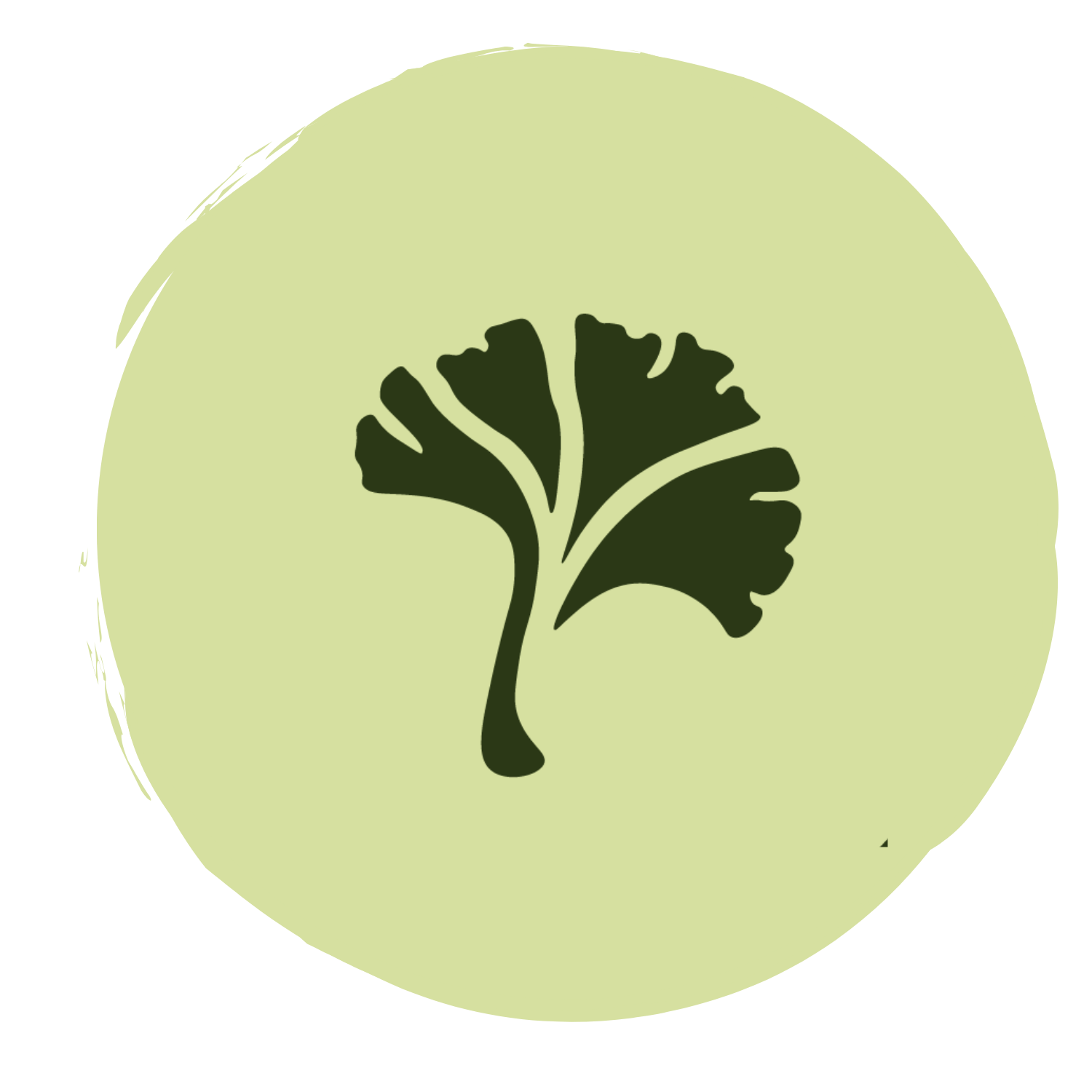 Black ginkgo leaf silhouette on a light green circular background.