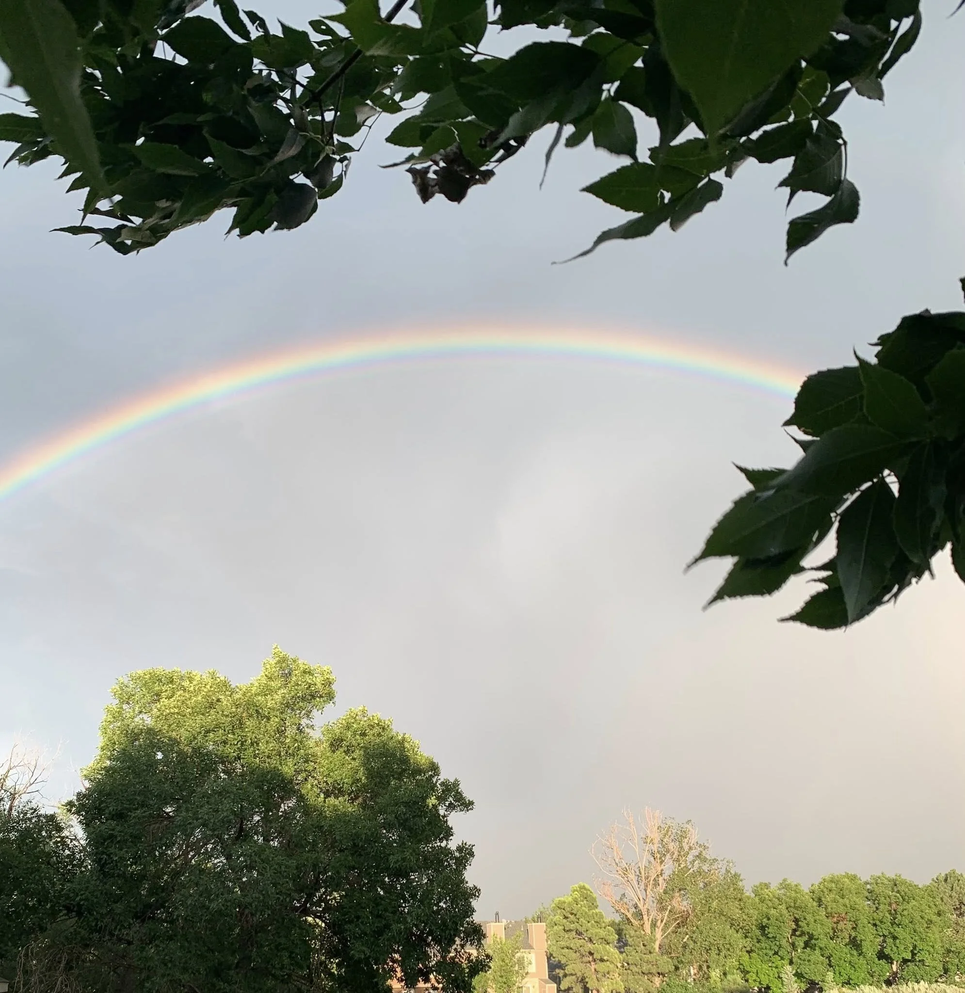 rainbow.jpg