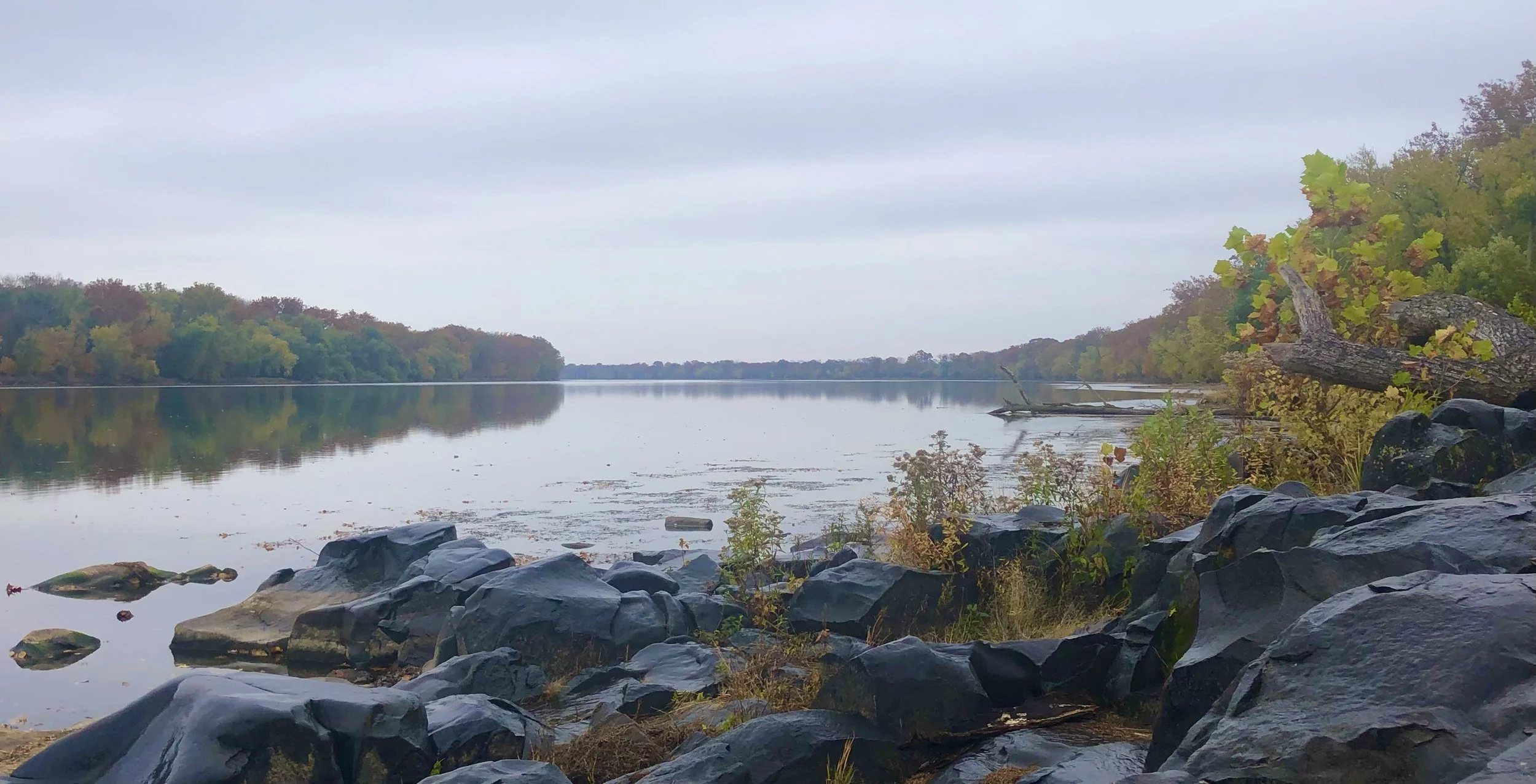 Welcome to Green Futures