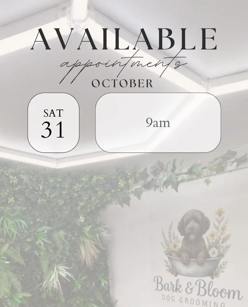 Remaining appointments for the year 💜

I do recommend booking in advance if there are particular days and times you'd like.

I do run a cancellation list, please message me with date/times you'd like if they aren't listed. 

📍 Langley, Maidstone
📞