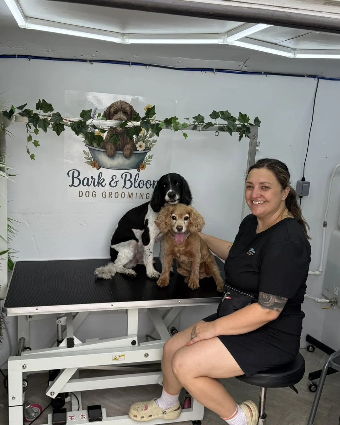 A woman sitting on a rolling stool with a tattoo on her arm, smiling, next to two dogs on a grooming table. One dog is black and white, and the other is light brown with floppy ears. There is a sign in the background with a dog illustration and the text "Bark & Bloom Dog Grooming." Another dog is visible above the sign, peering out from a bathtub decorated with flowers.