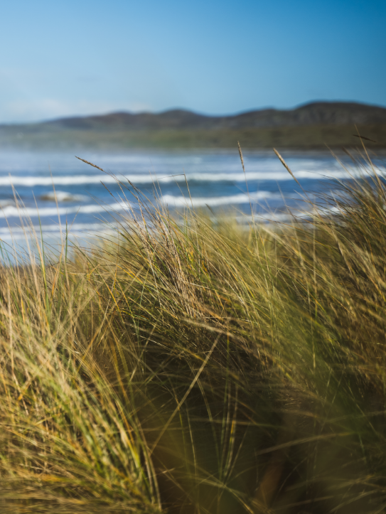 Pollan beach with tall grass in the foreground, rolling ocean waves in the middle ground, and distant hills under a blue sky.