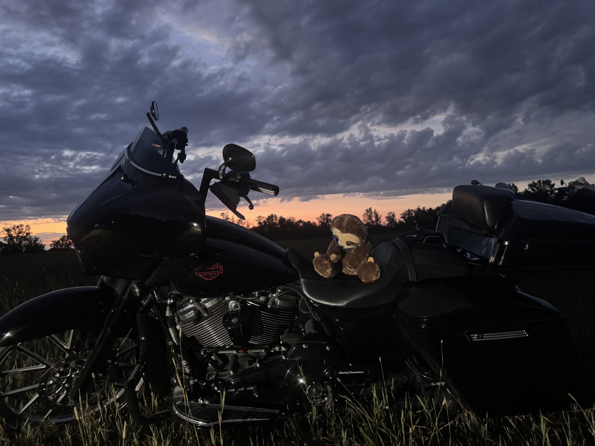 Black motorcycle with a plush toy sitting on the seat, parked on a grassy field during a sunset with dark clouds in the sky.