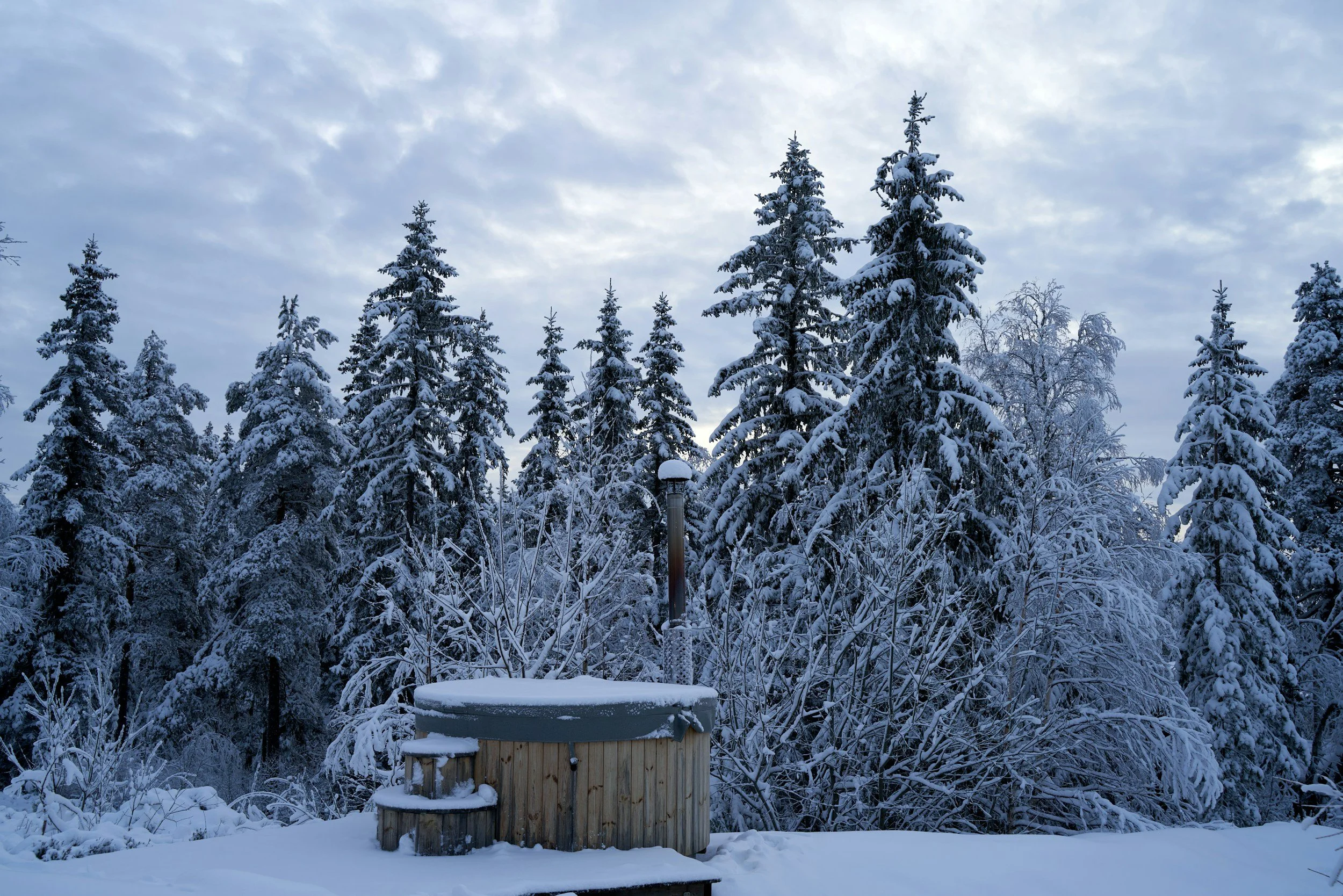 Snow-covered hot tub outdoors in a forest of snow-laden evergreen trees, cloudy sky in the background.
