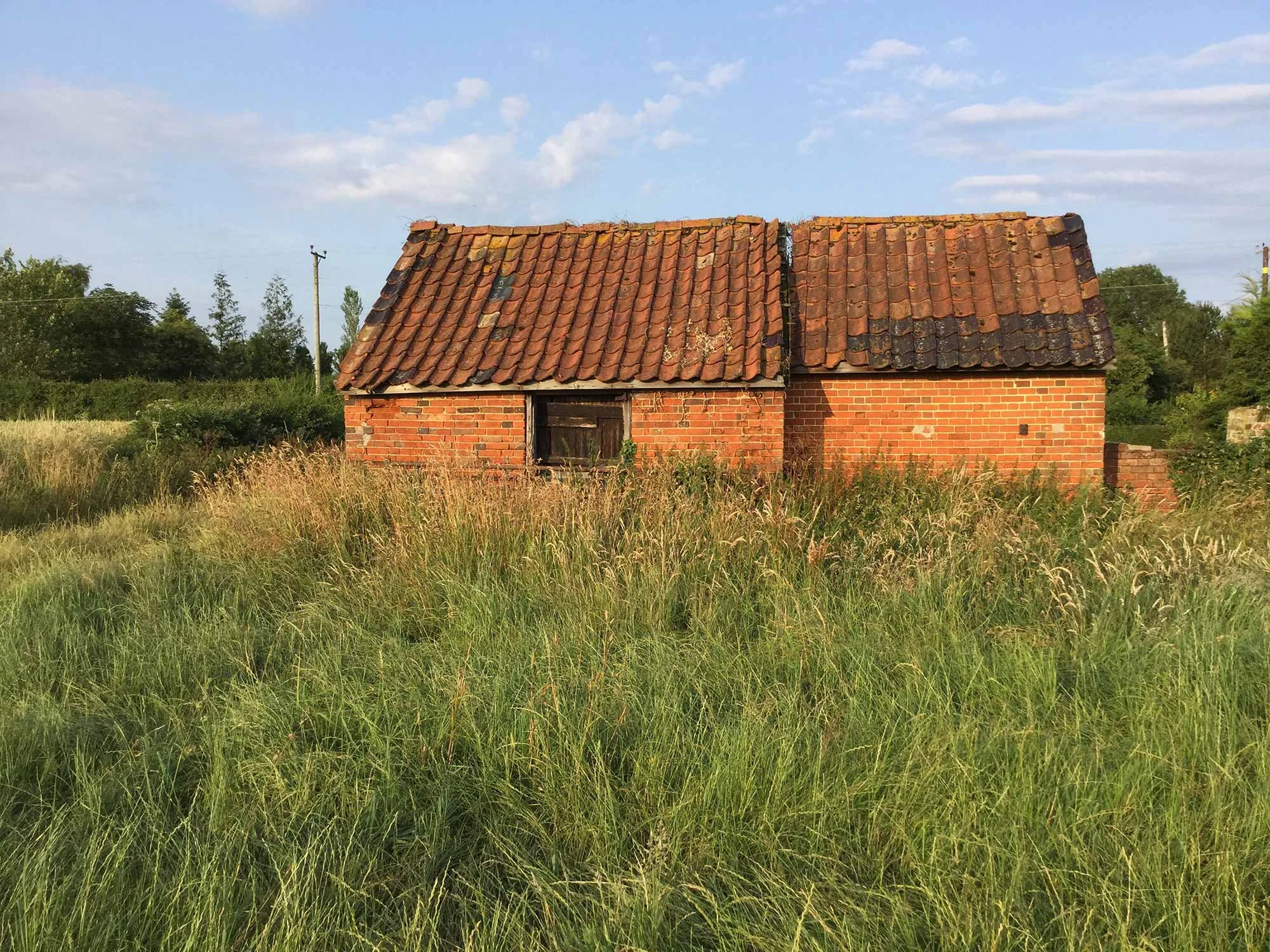 Original dairy barn surrounded by long grass.