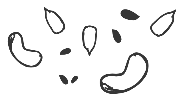 studio domka-client stories-naturenurture-moodboard 11.png