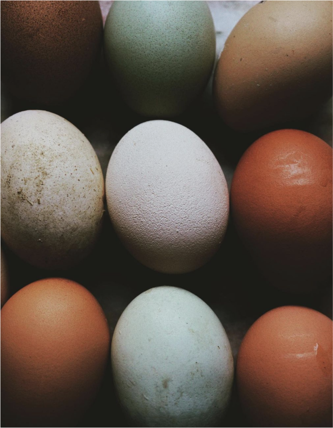 studio domka-client stories-naturenurture-moodboard 7-1.png