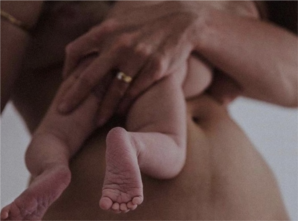 studio domka-client stories-naturenurture-moodboard 13.png