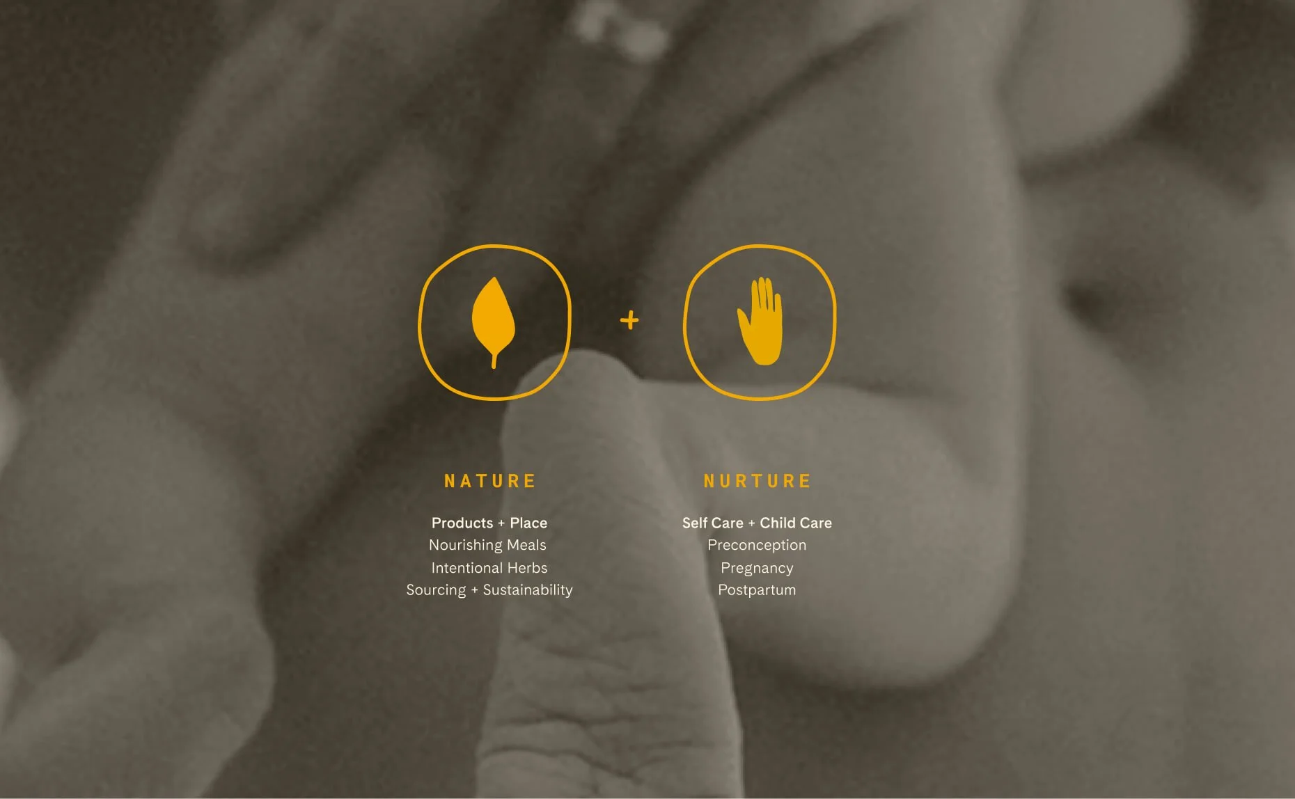 studiodomka-client stories-naturenurture-design 7.jpg