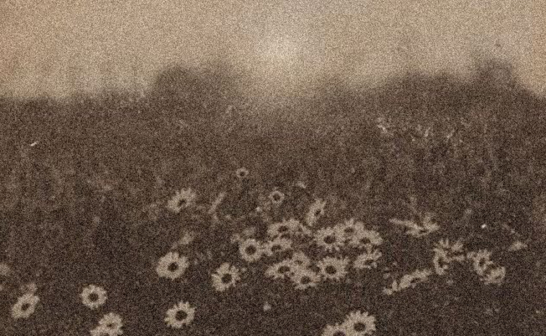 22 Things I'm Deeply Proud of From 2022