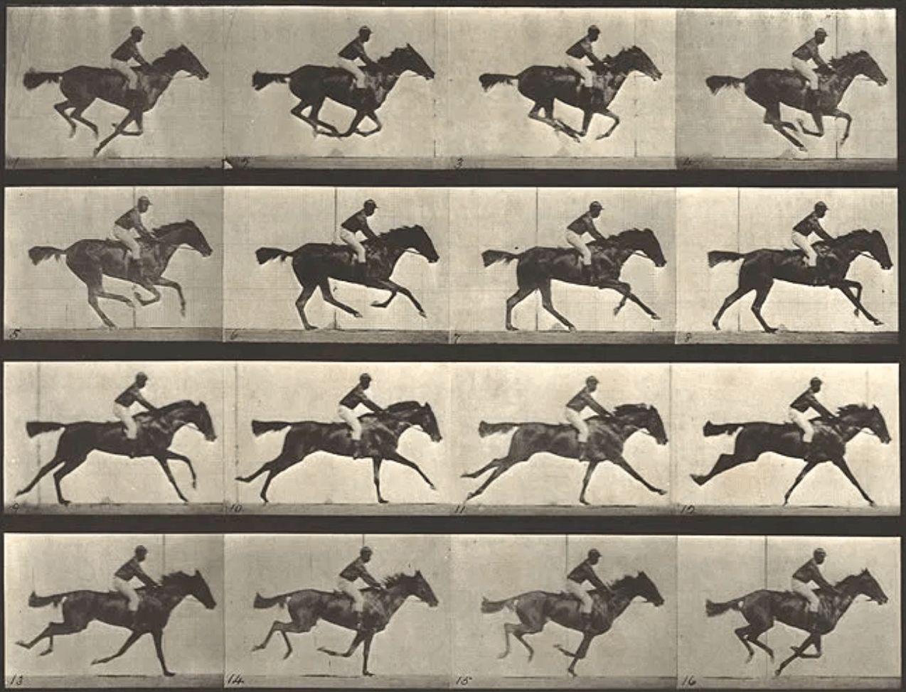 Galloping horse by Eadweard Muybridge, June 1878