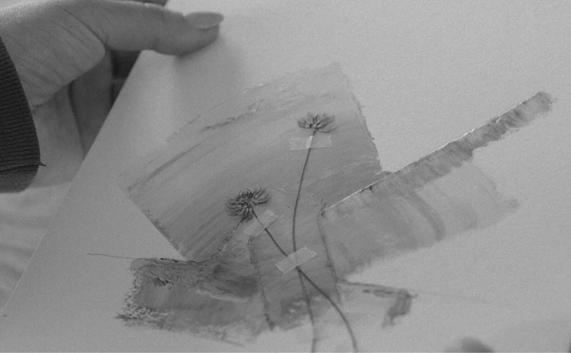 S3/Ep8 The Formula For A Visually Stunning Brand