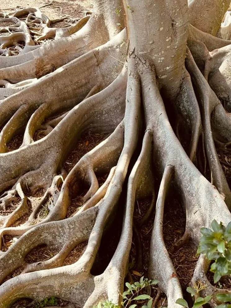 studio domka-client stories-hosshouse-moodboard 13.jpg