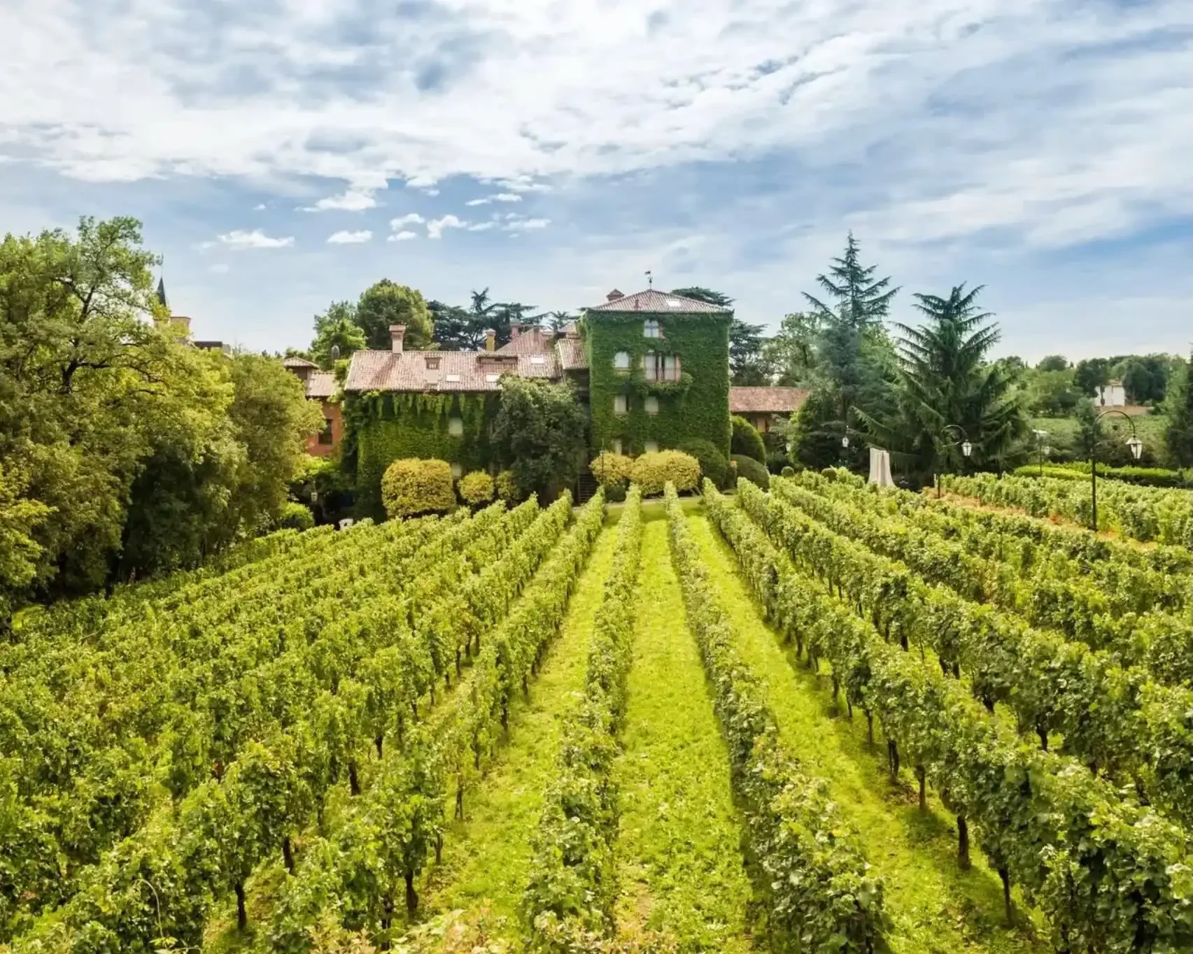 Italy Wine Regions — Where to Go & What to Expect