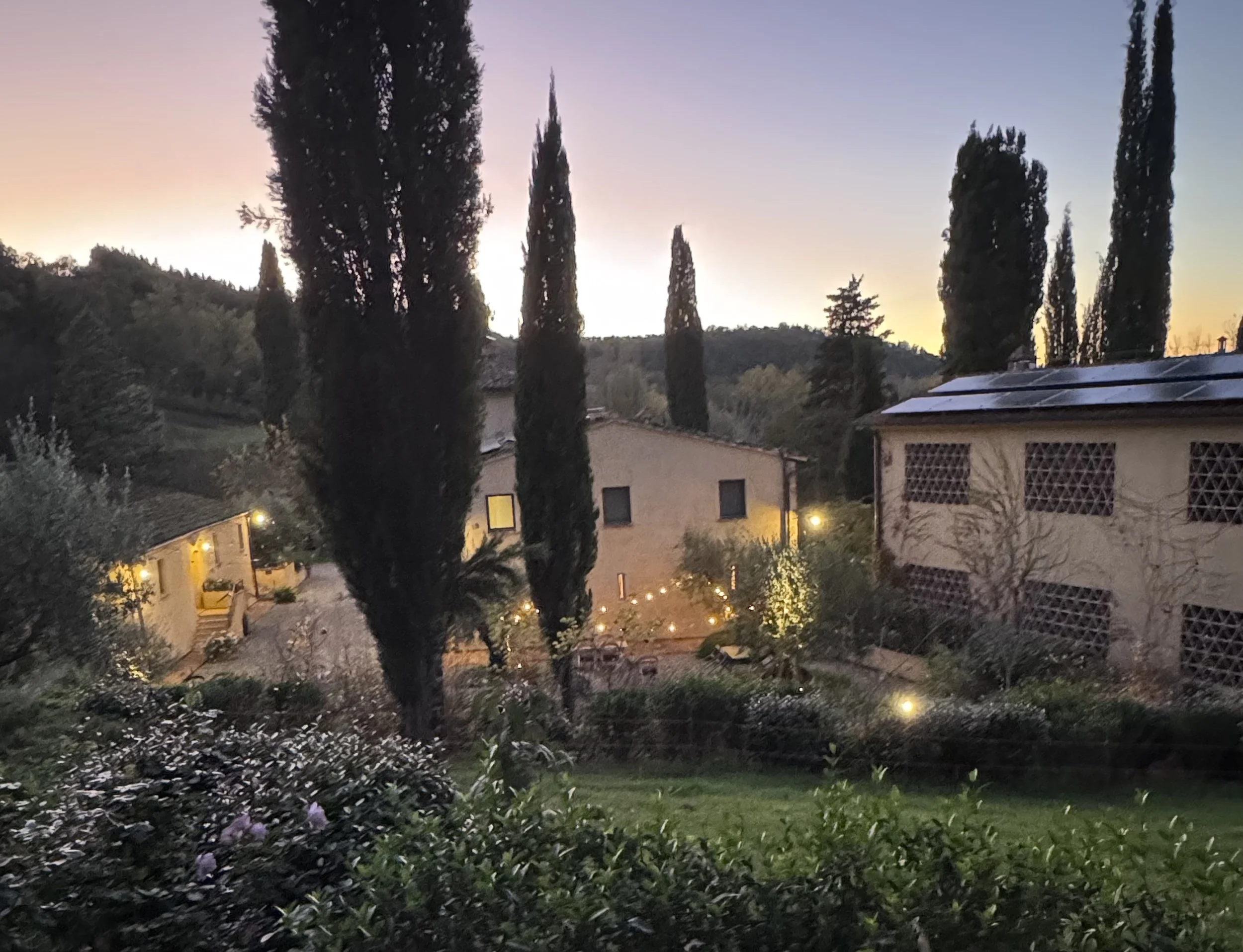 A peaceful evening scene with tall cypress trees silhouetted against a colorful sky during sunset or dawn, with houses and a garden in the foreground.
