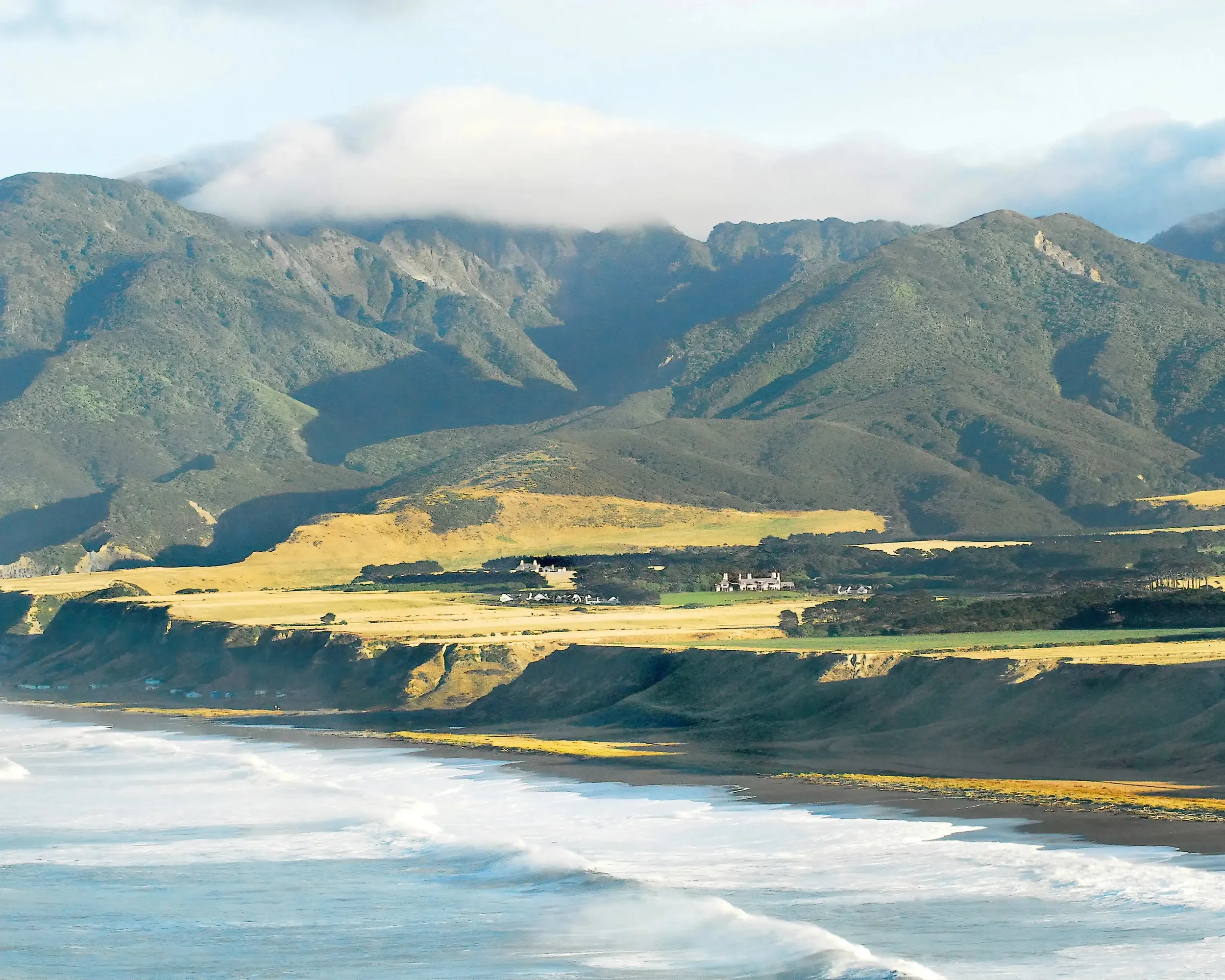 New Zealand Insider's Guide, What you Need to Know 
