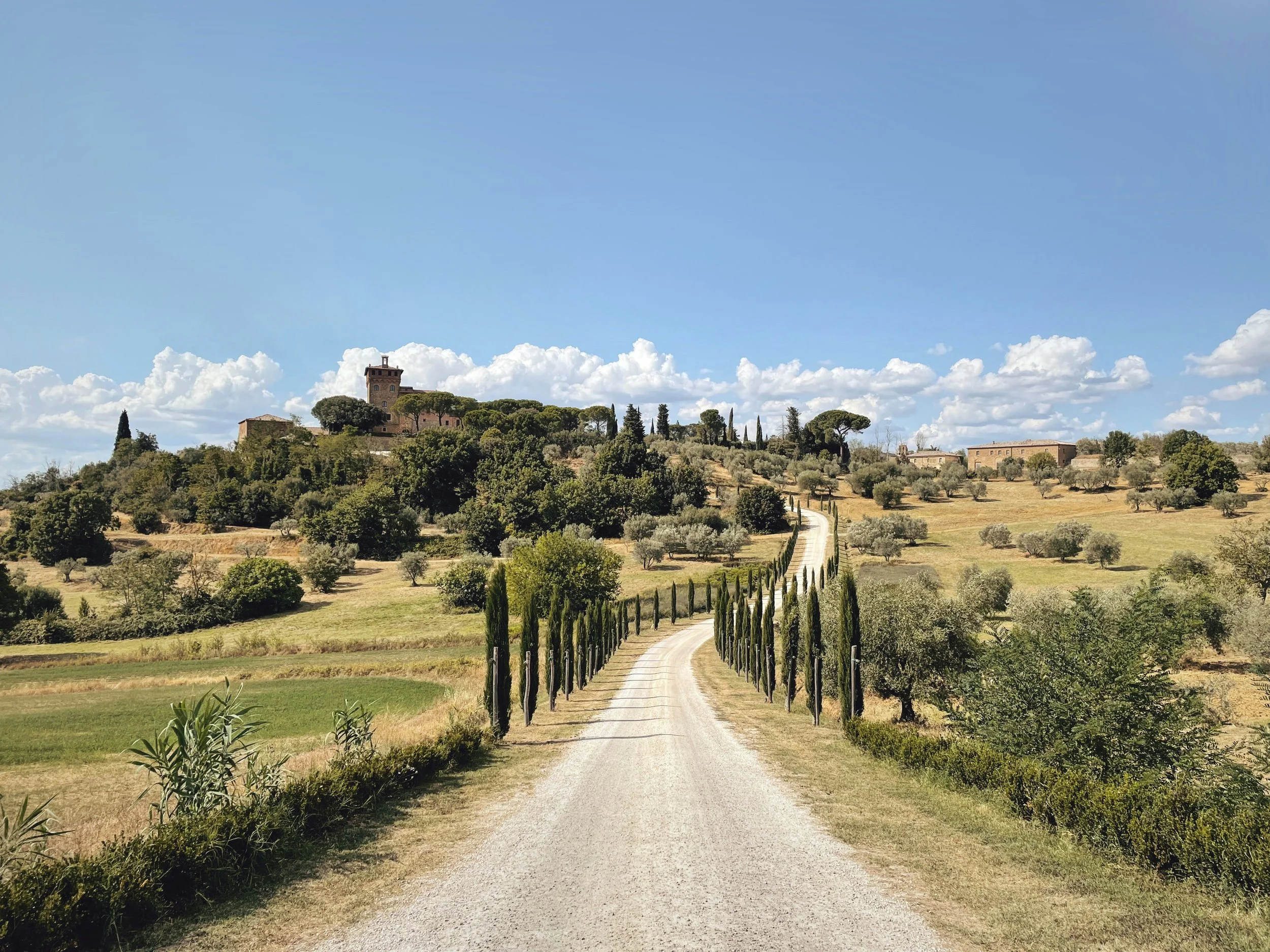 A dirt road lined with cypress trees leading up a hill towards a stone castle or tower on a hilltop, with a partly cloudy sky above.