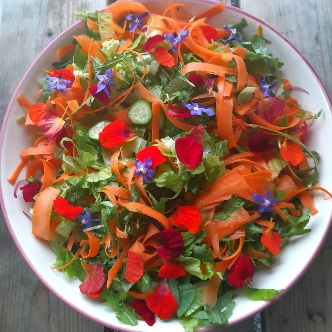 Colorful salad with lettuce, shredded carrots, cucumber slices, and edible flower petals in a white bowl
