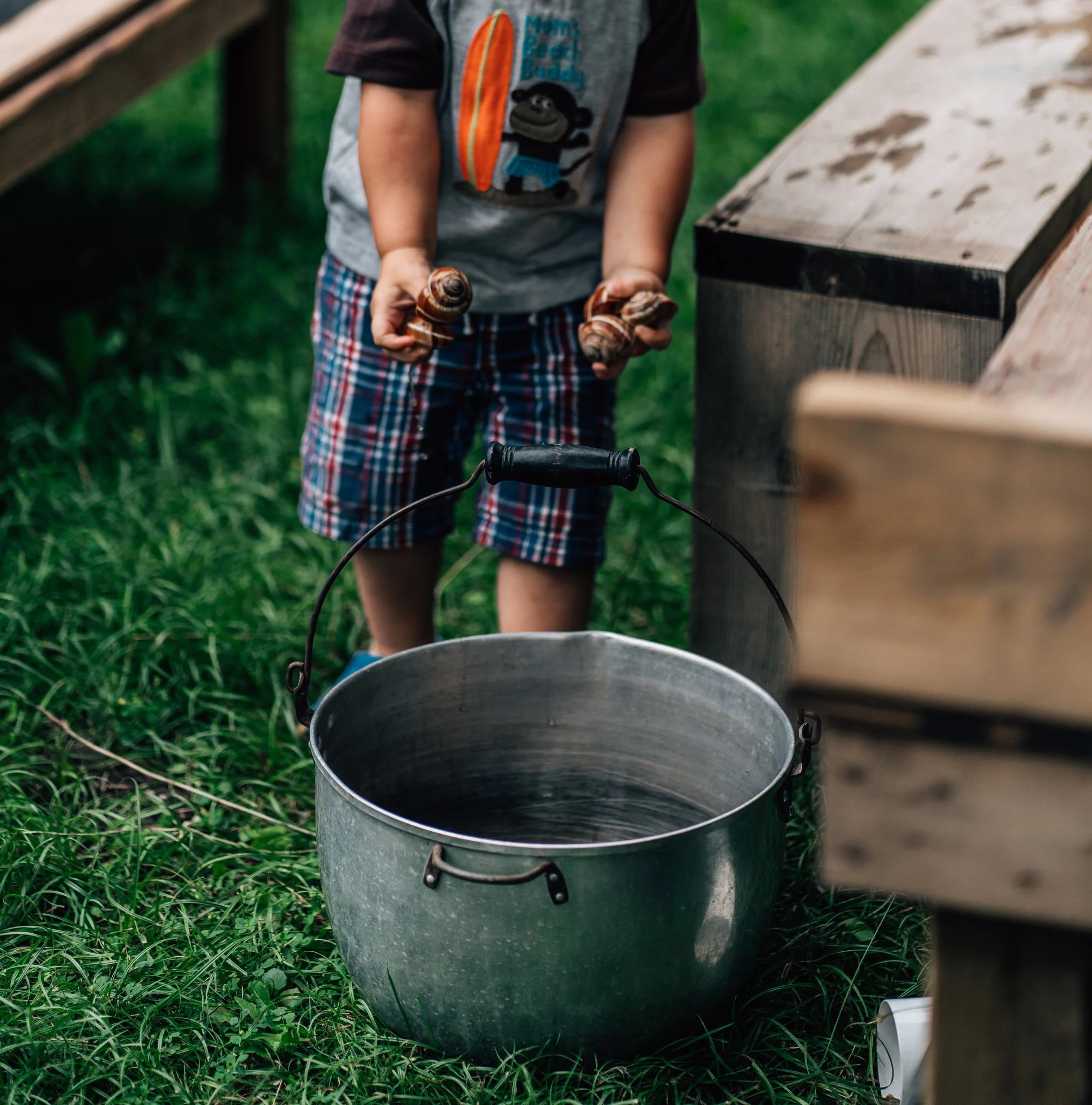 Little Boy has hands full of shells about to drop them into a bucket at the Belleville Outdoor Preschool