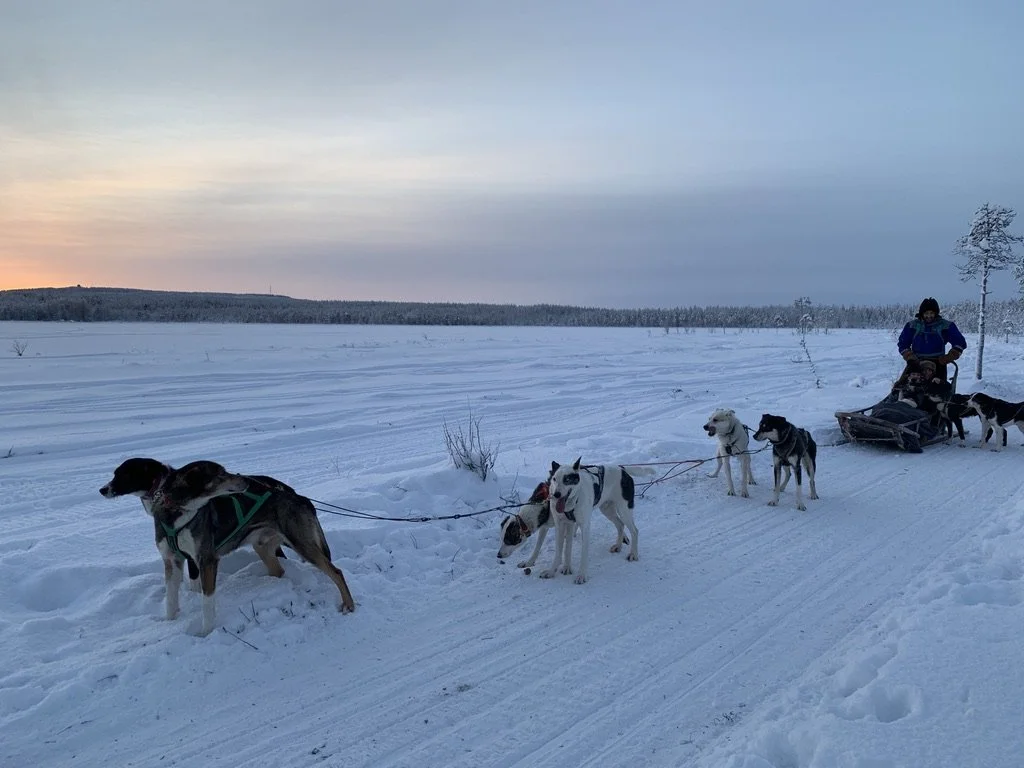 Laponie - Finlande