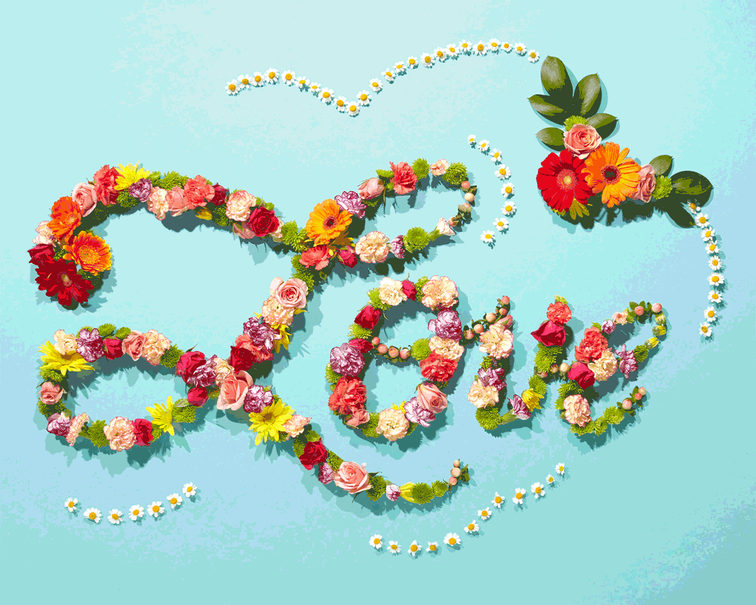 Floral arrangement spelling out the word 'love' with colorful flowers on a light blue background, accented with small daisies.