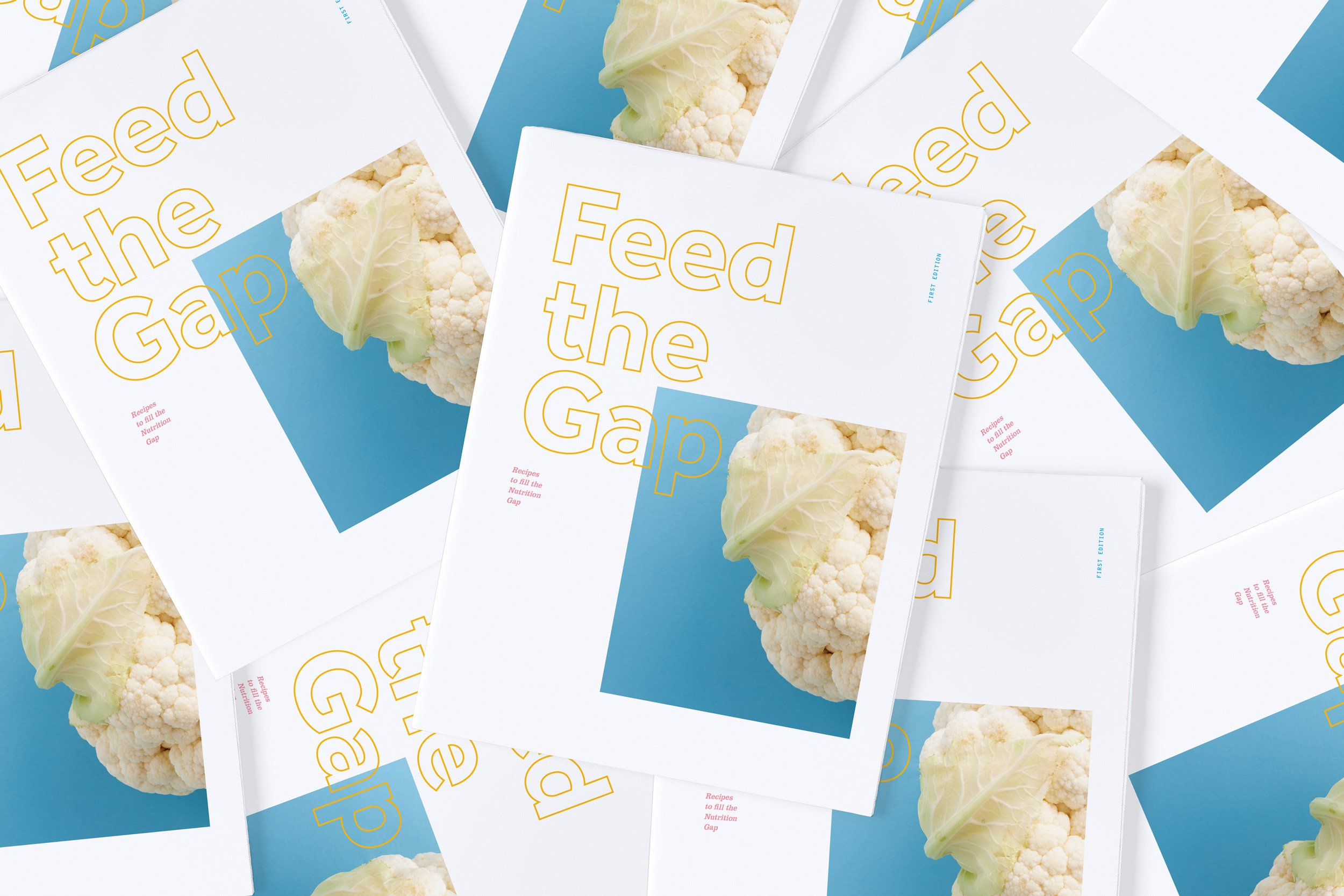 Cook County Health Feed the Gap