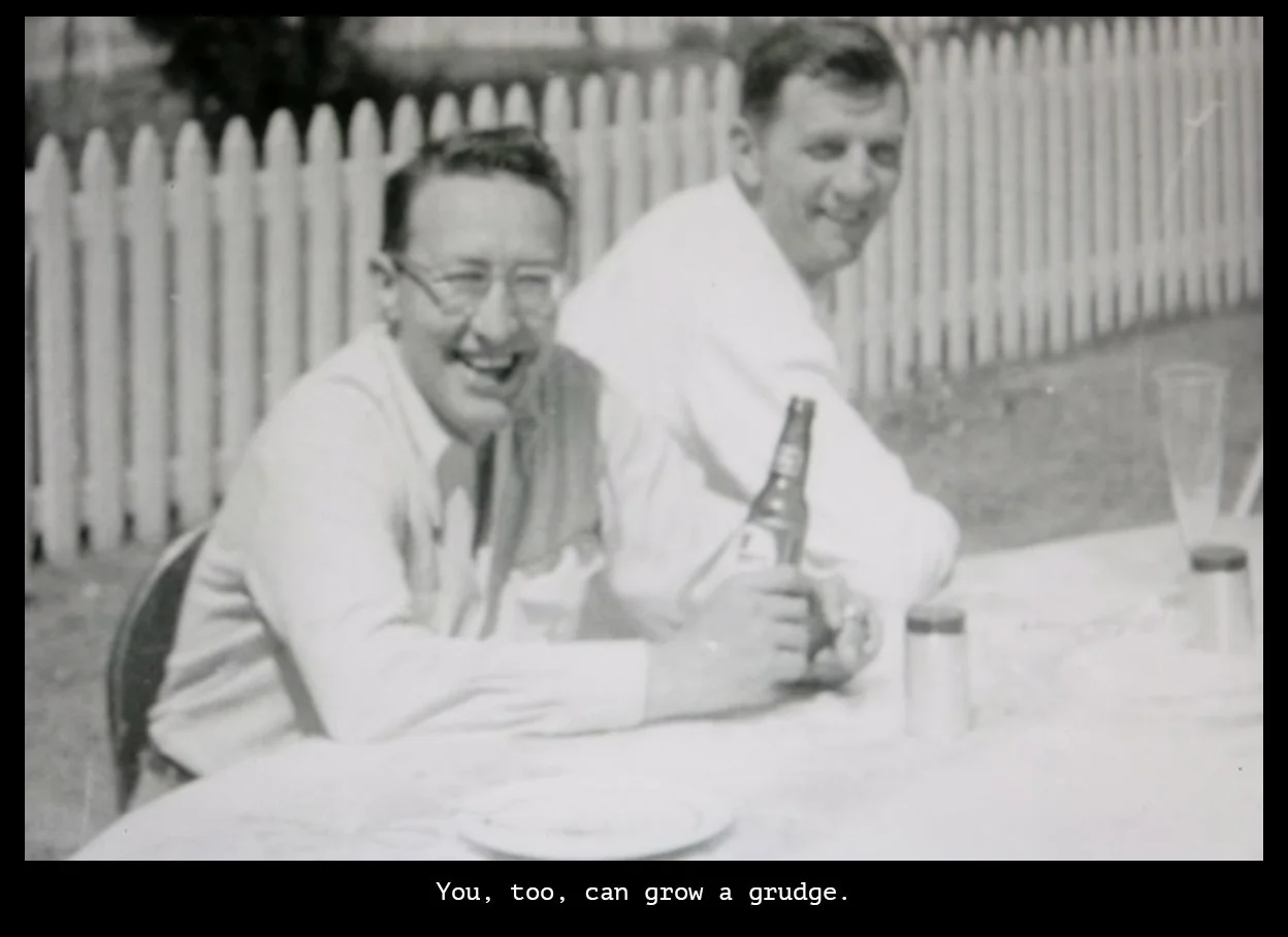 Series: Sponsored by the Party of Disappointed People