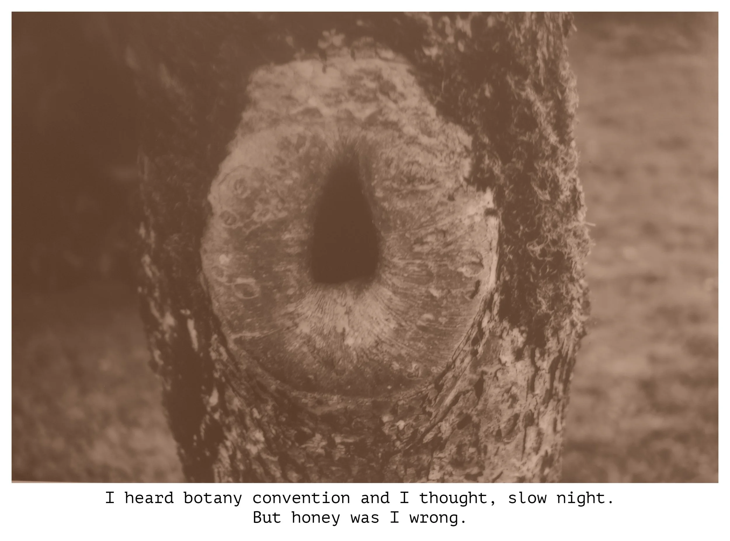  Title: "I heard botany" Series: The Thing Is