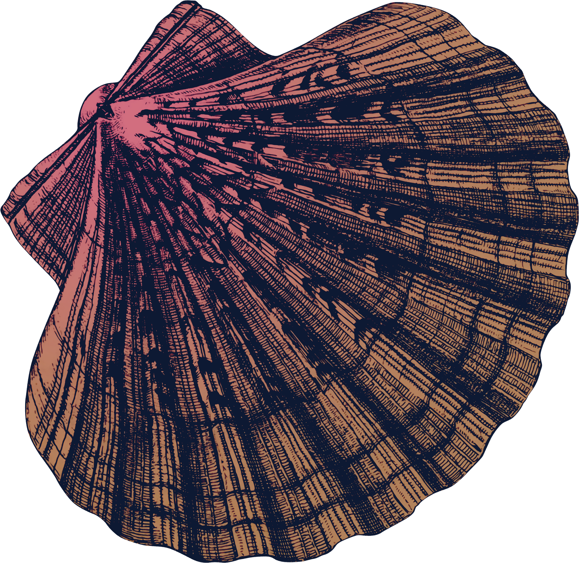 Your First Time: Everything You Need To Know Before Your Sexual Debut