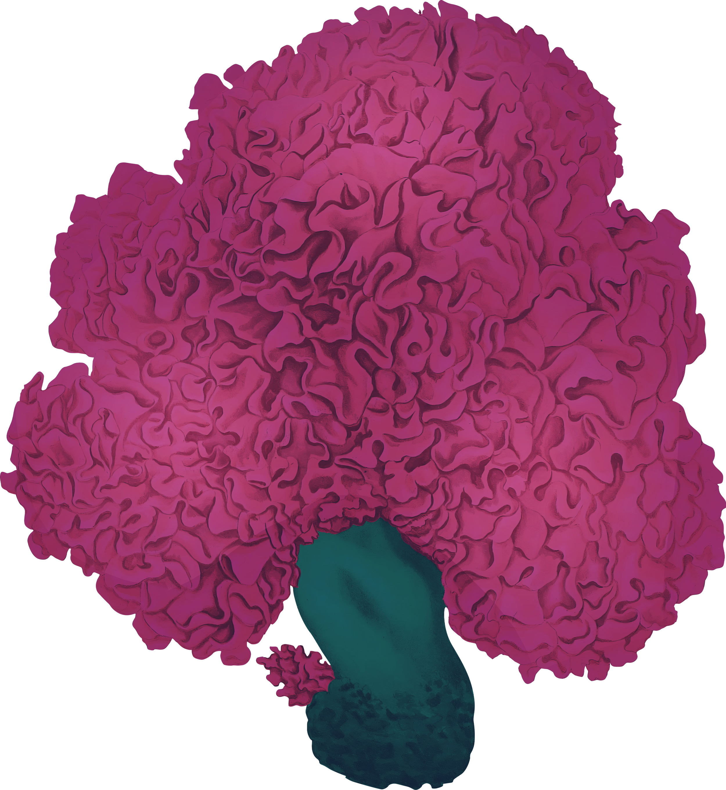 So You Think You're LGBTQ+? (or you know you are, but you're new to it) for Purity Culture Dropouts