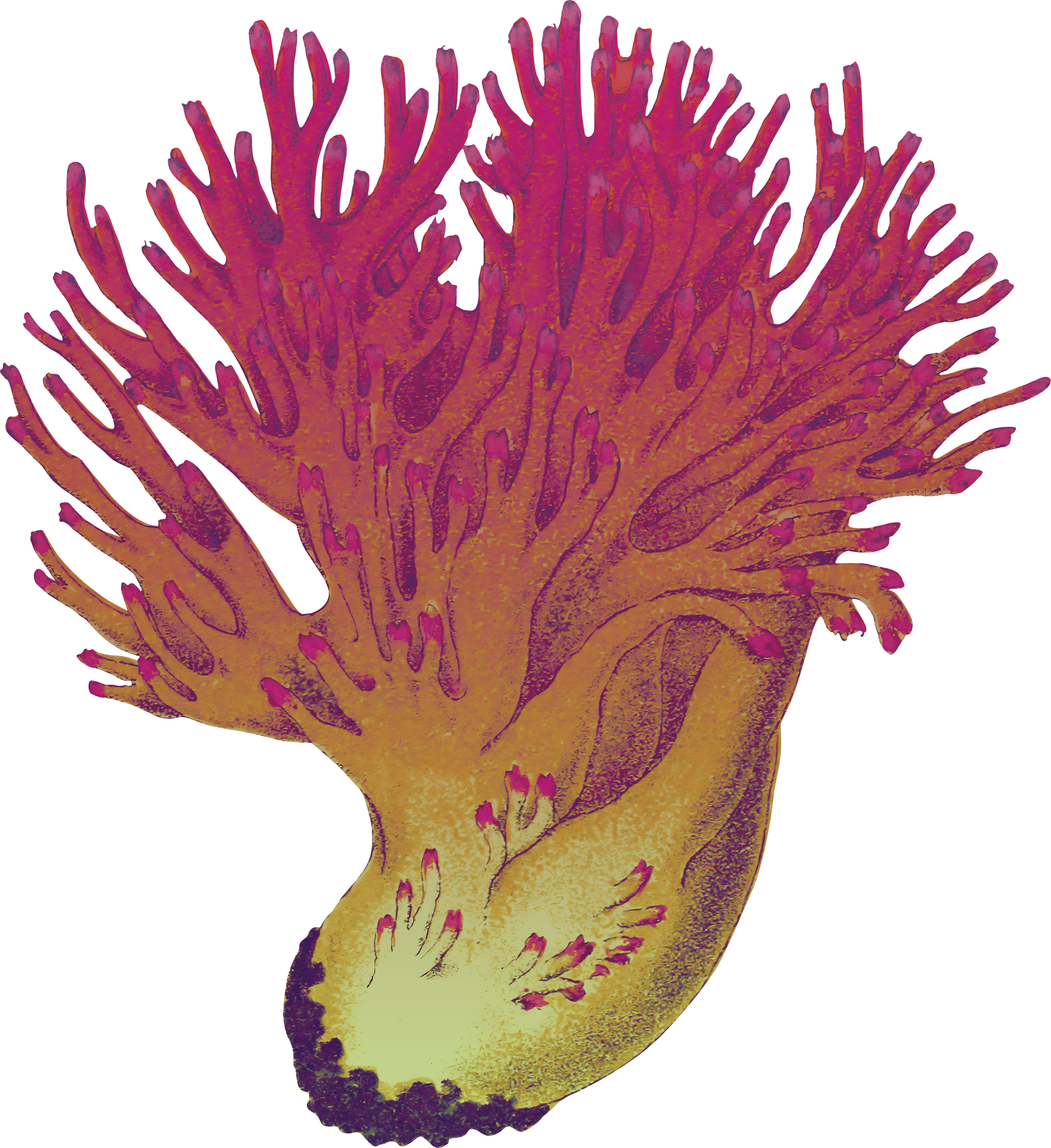 My Sexual Values Workbook: A Purity Culture Dropout Resource (Revised in 2023)