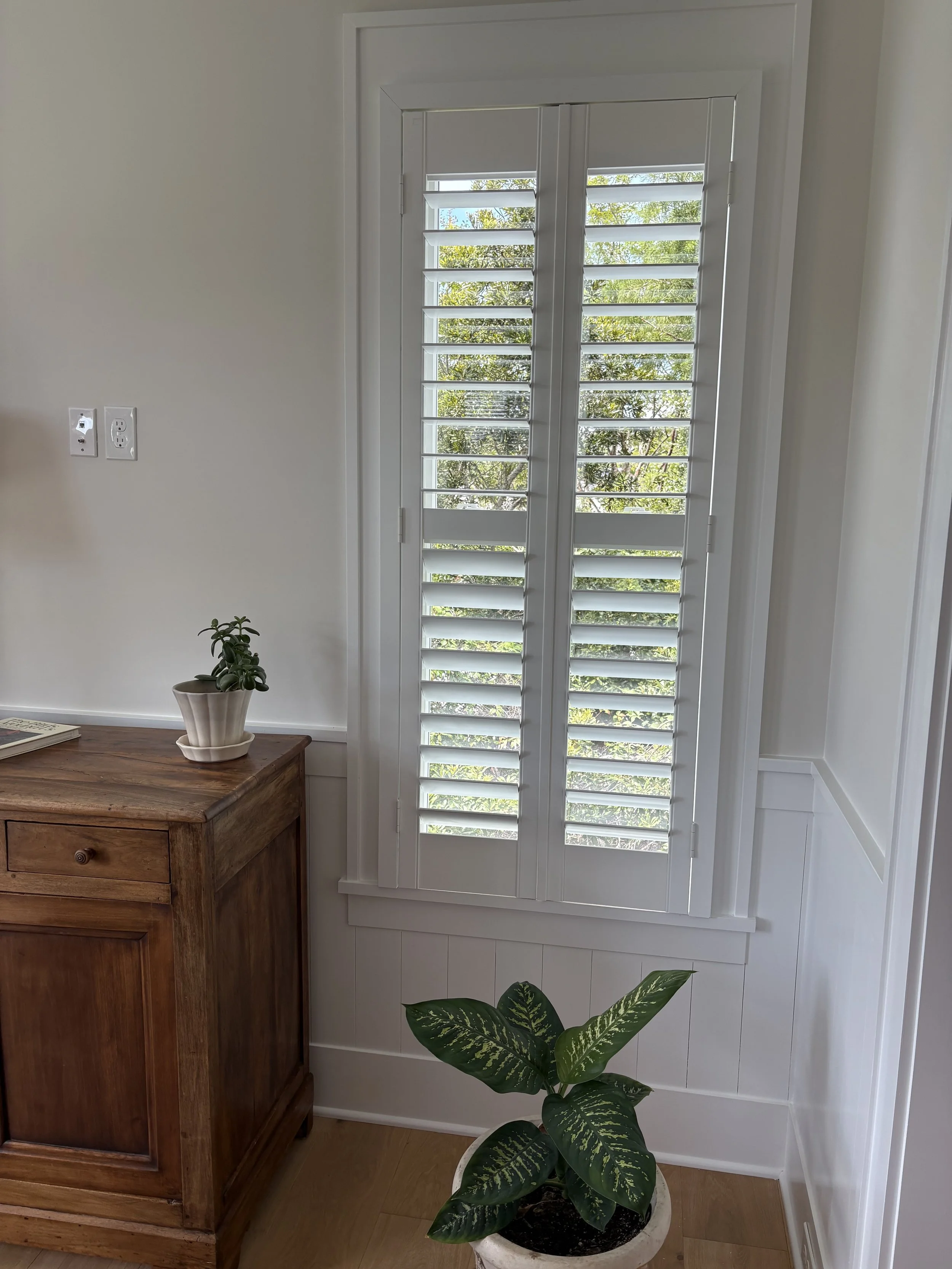 skinny 2 panel clear view.jpeg