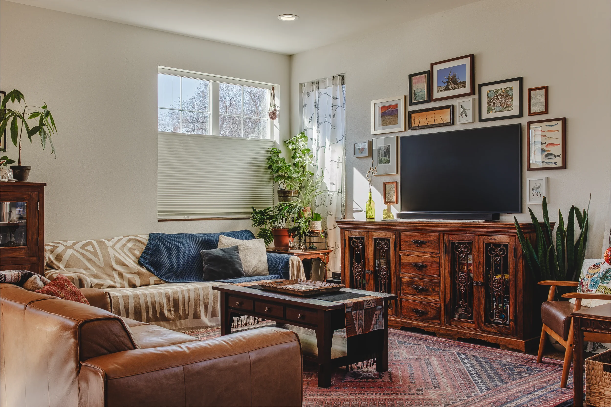 Cozy living room with tan leather sofa and patterned cushions, highlighting the sunbeams hitting plants near window, shot in Berthoud, Colorado by Context Images.