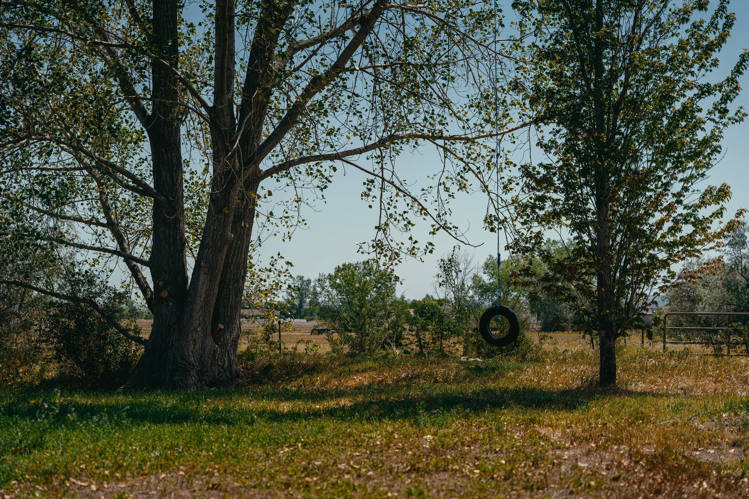 luxury-farmhouse-property-broomfield-tire-swing-colorado.webp